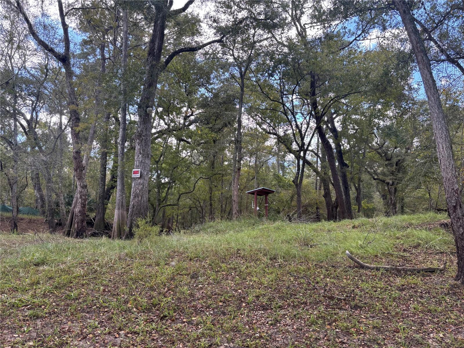 BULL LOOP (UNRECORDED) - Land
