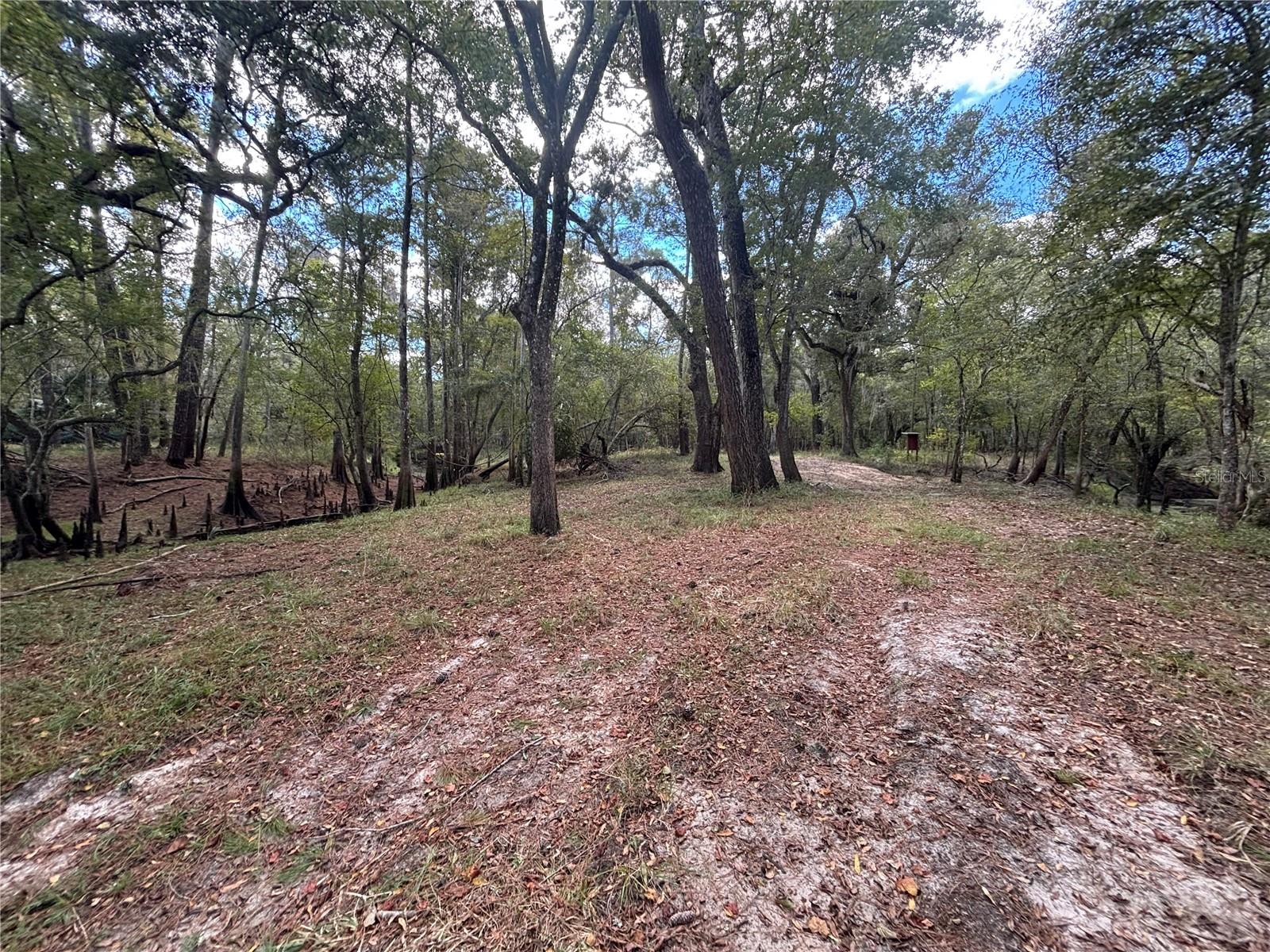 BULL LOOP (UNRECORDED) - Land