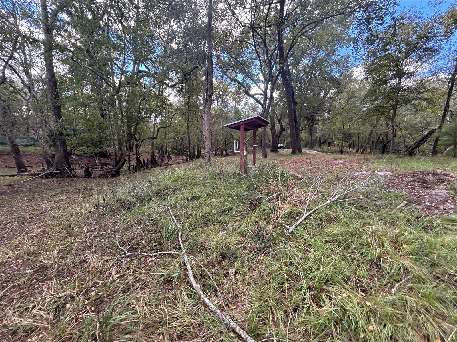 BULL LOOP (UNRECORDED) - Land