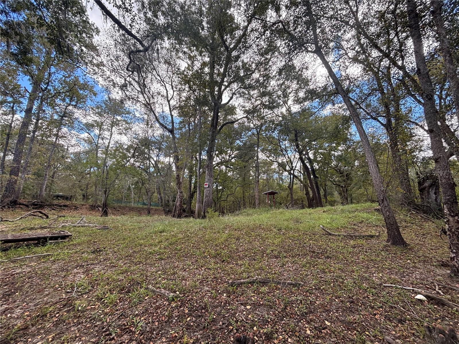 BULL LOOP (UNRECORDED) - Land