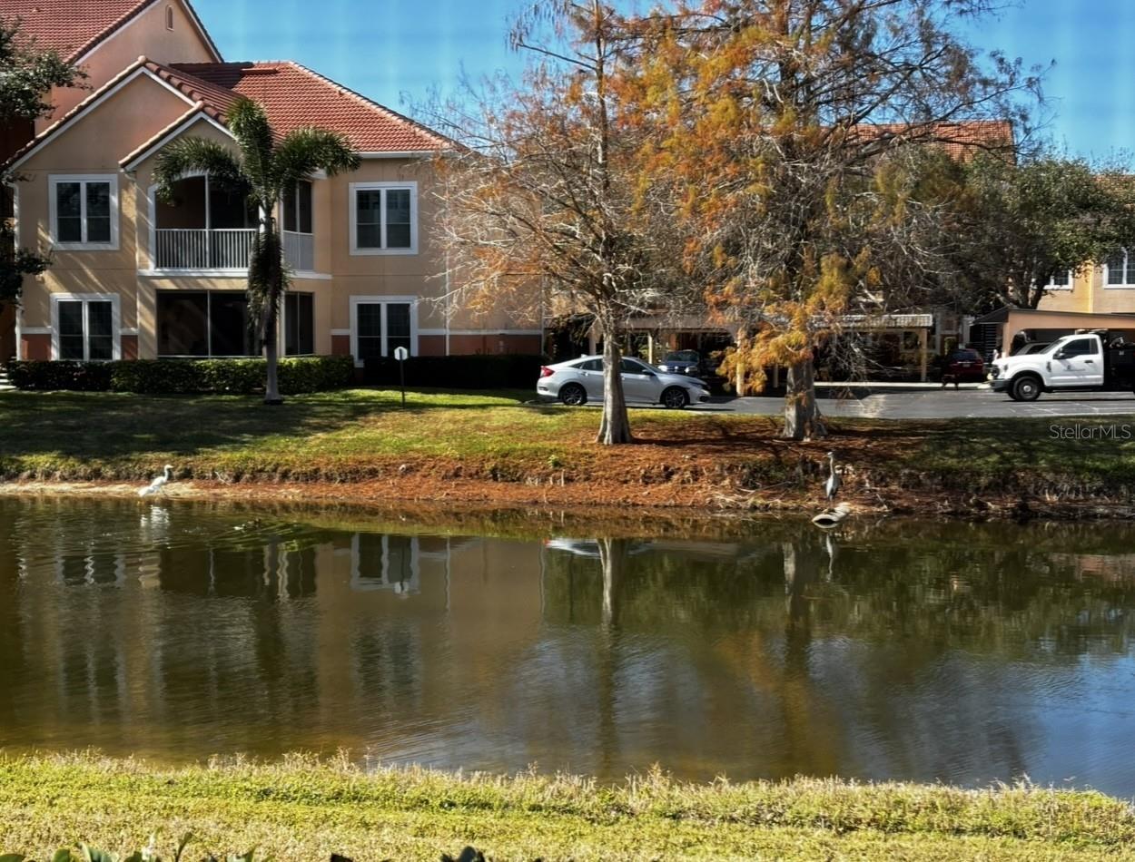 PLAZA DE FLORES - Residential