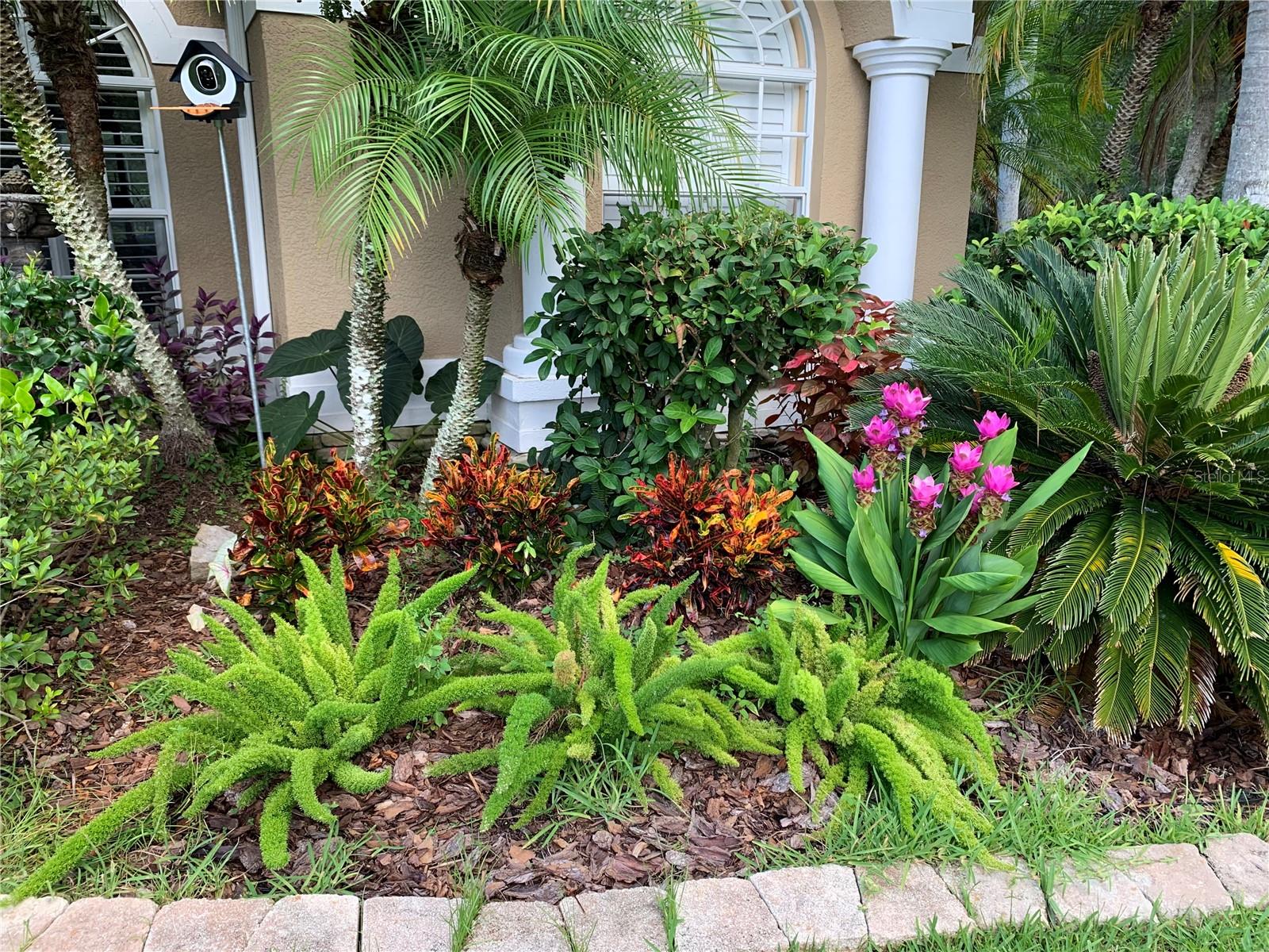 TAMPA TECHNOLOGY PARK WEST PRCL - Residential