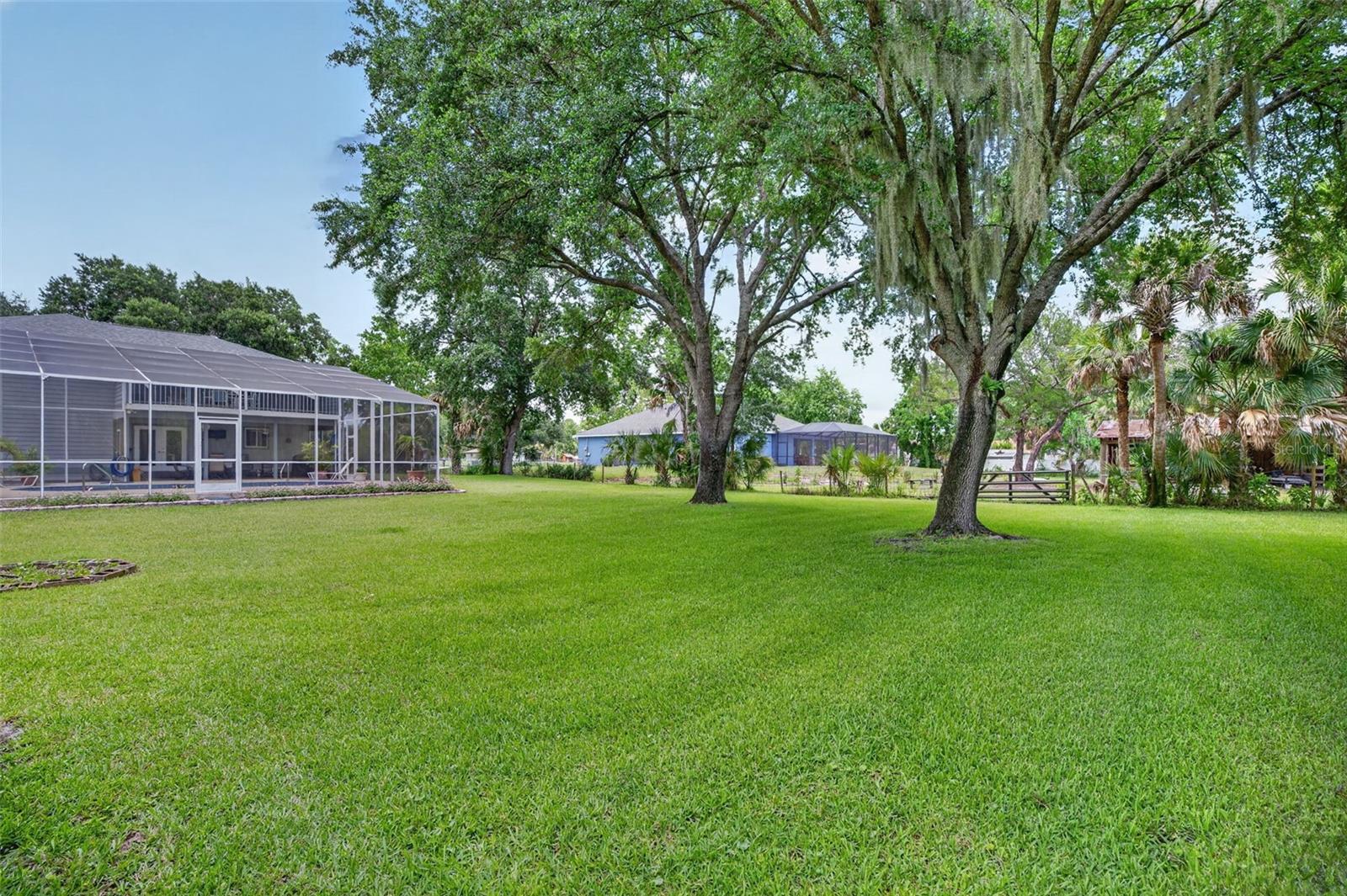 CANAVERAL GROVES SUB - Residential
