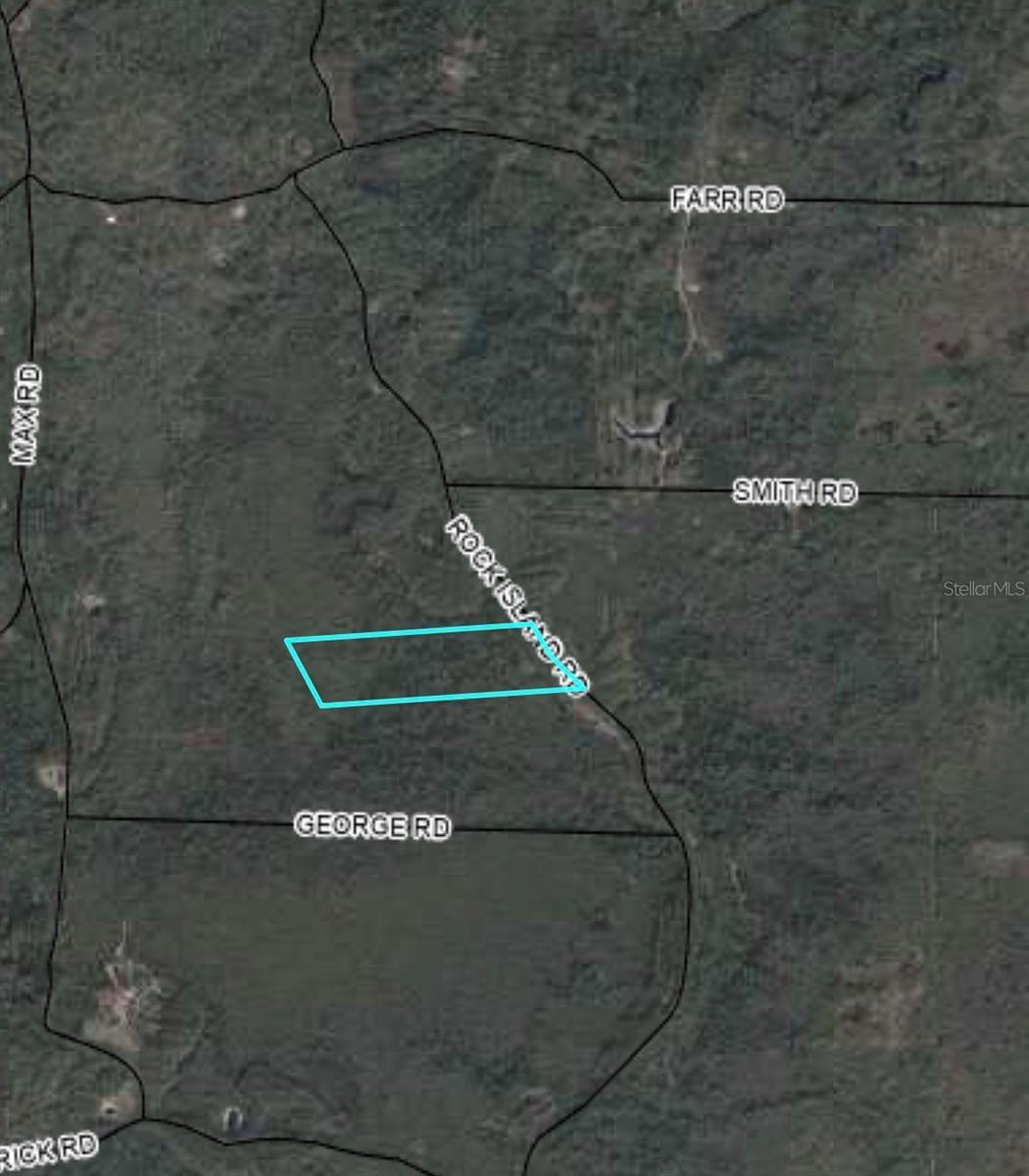 Discover the perfect blend of natural beauty and open space with this rare 40-acre property on the North side of Taylor County. This expansive parcel offers a mix of partially cleared land and untouched nature, providing endless possibilities for your vision.  Whether you’re looking to build your dream home or to establish a ranch this property is a blank canvas waiting for your inspiration.