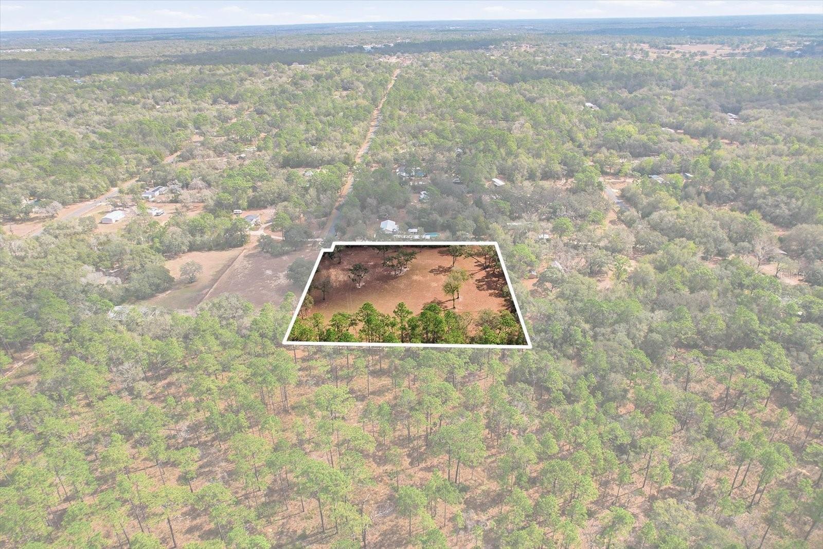 Discover a RARE OPPORTUNITY to own 2.5 magnificent acres DIRECTLY ON TRAIL 11A of the 50,000-acre Citrus Wildlife Management Area (WMA), part of the breathtaking Withlacoochee State Forest - one of Florida’s largest protected natural treasures spanning over 155,000 acres. Step out your back gate and into unspoiled, protected Florida wilderness. This truly one-of-a-kind property offers 330 FEET BORDERING THE FOREST, providing unmatched access, serenity, and endless views of natural beauty. For outdoor enthusiasts, this is TRULY PARADISE. Enjoy HORSEBACK RIDING from your backyard, miles of HIKING TRAILS, birdwatching, abundant wildlife, or take advantage of nearby JEEP AND OFF-ROAD TRAILS for weekend adventures! Scattered across the HIGH-AND-DRY lot are majestic granddaddy oaks that create a picturesque setting for your future dream home. Whether you envision a country estate, equestrian retreat, or peaceful nature escape, this property delivers the perfect canvas. The fully fenced 2.5-acre property has 2 gates for your convenience and is located on a quiet dead-end paved road. Backing up directly to thousands of acres of protected conservation land, this property offers the ultimate blend of seclusion and recreation. If you’ve been searching for privacy, natural beauty, and room to roam — this incredible property is one you must experience to fully appreciate. Once you see it, you’ll want to call it your own!
