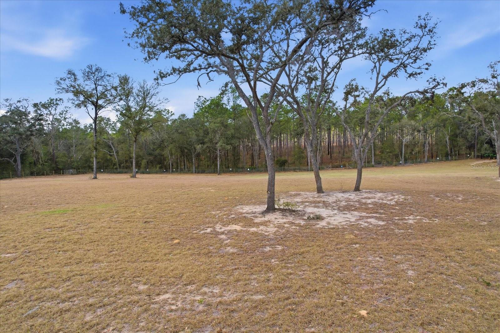 DEERWOOD - Land