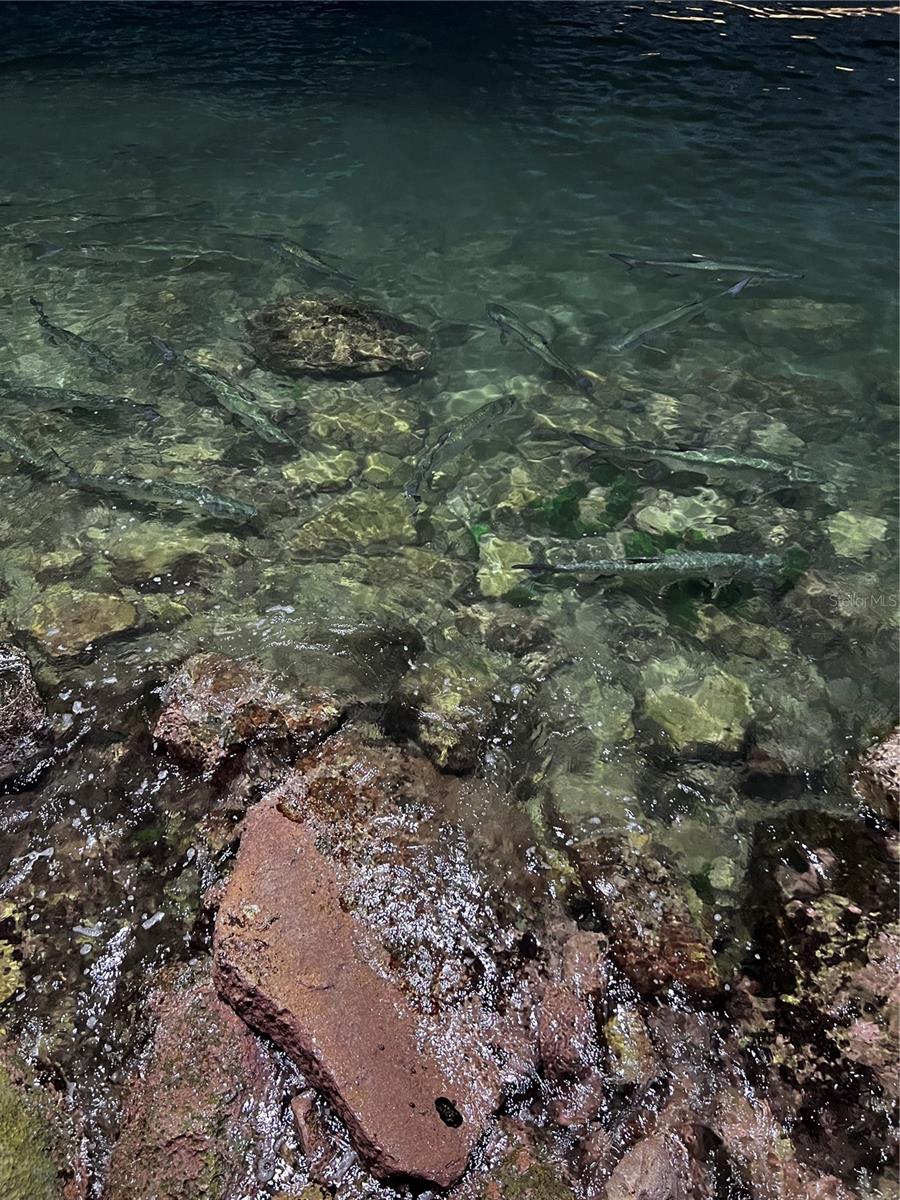 BAHIA REAL II CABO ROJO - Land