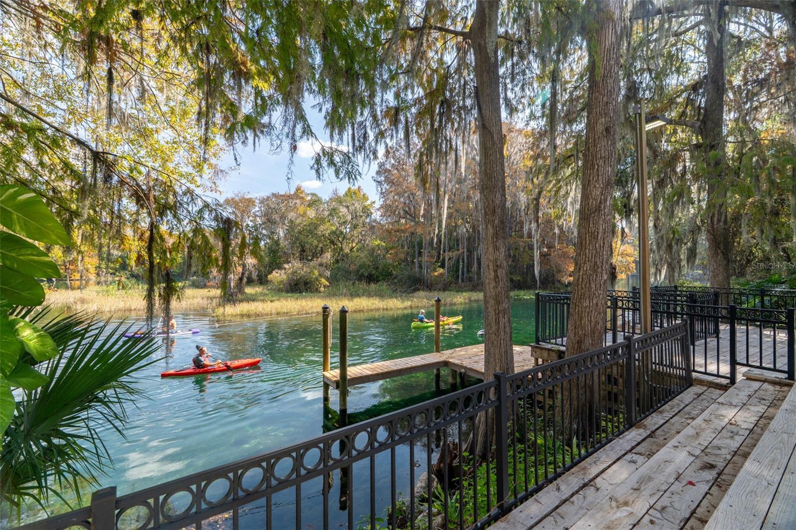 Experience unparalleled Luxury on the Rainbow River and discover Florida living at its finest! This stunning two-story, 6,040 sq. ft. riverfront estate offers unobstructed views of the crystal-clear Rainbow River—no homes across the water, just pure natural beauty. Designed to embrace its surroundings, the home features two expansive screened porches spanning each level, plus a private porch off the owner’s suite, perfect for morning coffee or sunset cocktails. Step inside through a grand foyer and ascend the elegant staircase or take the custom elevator to the upper level, where a spectacular great room awaits. Soaring vaulted ceilings, a stately fireplace, and a custom wet bar set the stage for entertaining. The open gourmet kitchen flows seamlessly into the dining area, while walls of glass and French doors invite you to the porch for panoramic river views. The owner’s suite is a serene retreat with a cozy sitting area, fireplace, and private porch. The spa-inspired bath boasts a walk-in shower, soaking tub, private water closet with bidet, dual vanities, and two walk-in closets. Two additional guest suites with private baths ensure comfort for family and friends. The ground floor boasts a spacious foyer leading to an impressive game room with a built-in bar and cabinets. There is also a large flex room, with a closet and utility sink - perfect for an artist’s studio, fitness room, home office, or additional guest suite. A nearby bedroom and full bath make this level ideal for multigenerational living. Two oversized garages easily accommodate four vehicles, and a large laundry room is conveniently located upstairs. Outdoor living is unmatched featuring a private deck leads to your dock for boating, kayaking, paddleboarding, fishing, and swimming. A tranquil waterfall feature completes this rare riverfront paradise. This exceptional property combines luxury, serenity, and the essence of Florida living! *All measurements to be verified by buyer and buyer's representative**