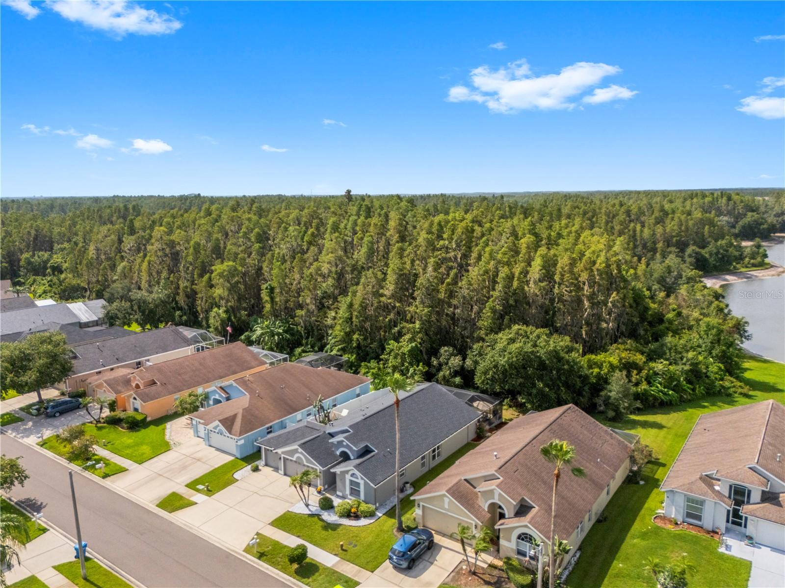 MEADOW POINTE PRCL 18 UNIT 01 & 03 - Residential