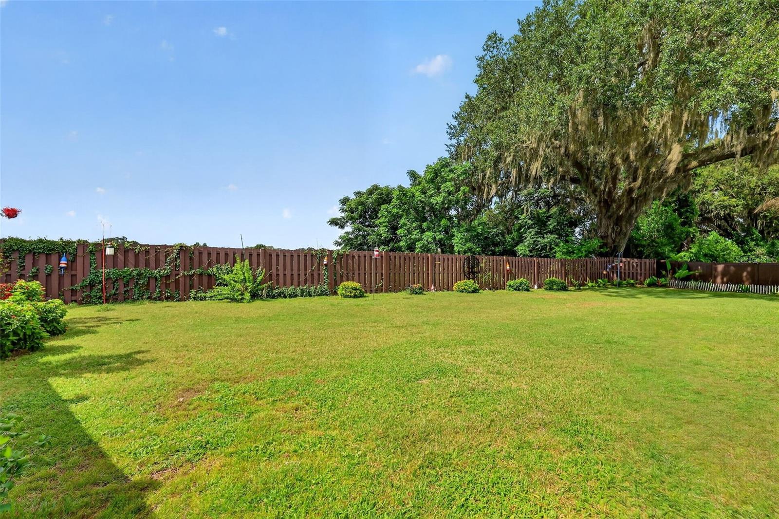 OXFORD OAKS PH 2 - Residential