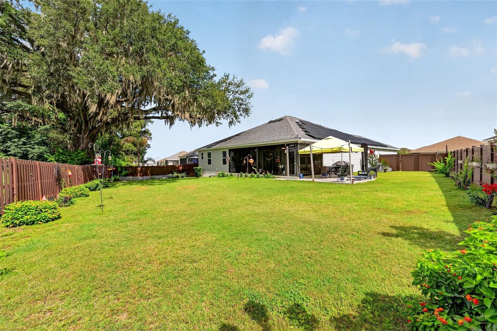 OXFORD OAKS PH 2 - Residential