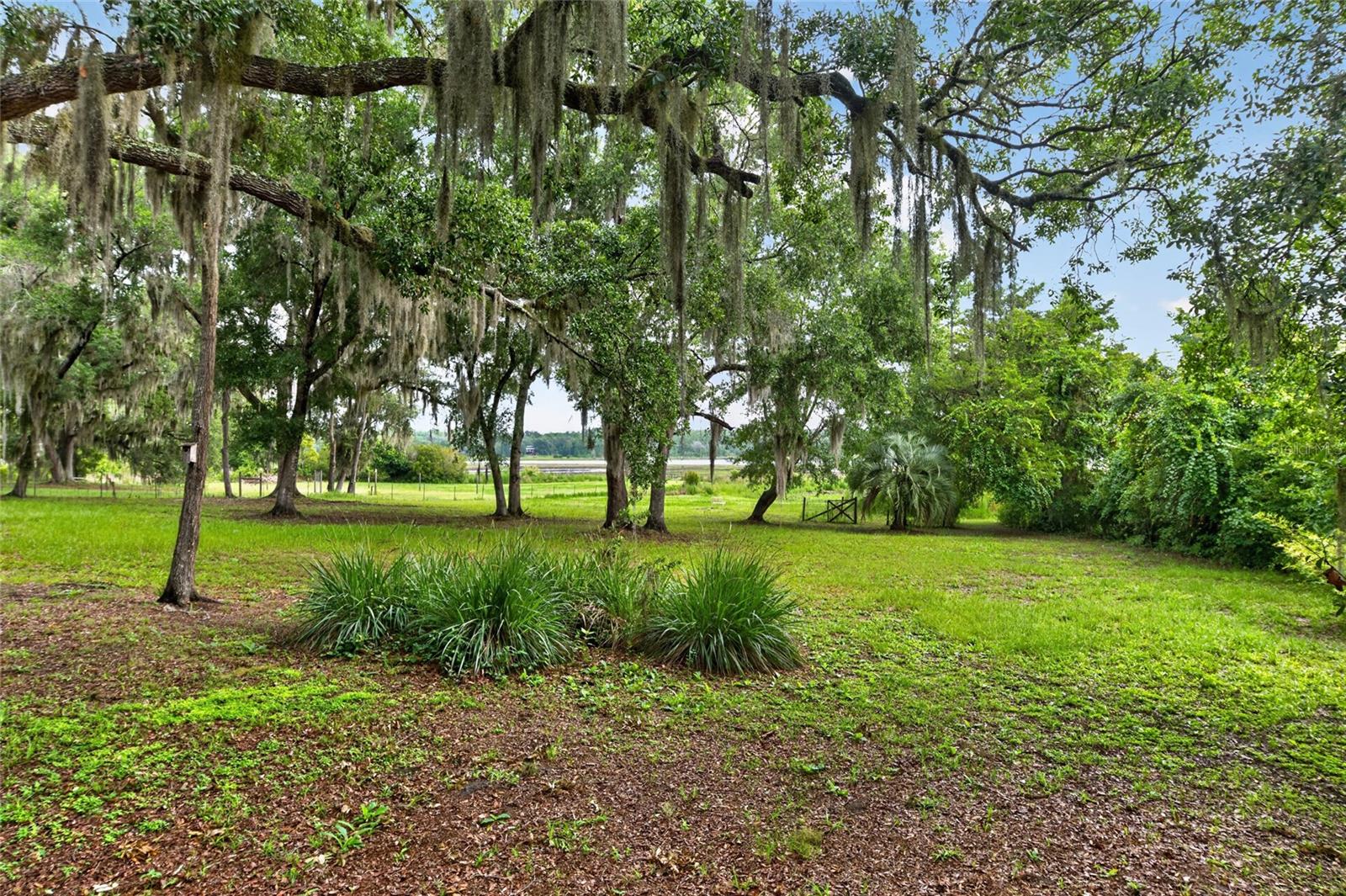 LONG POND OAKS - Residential