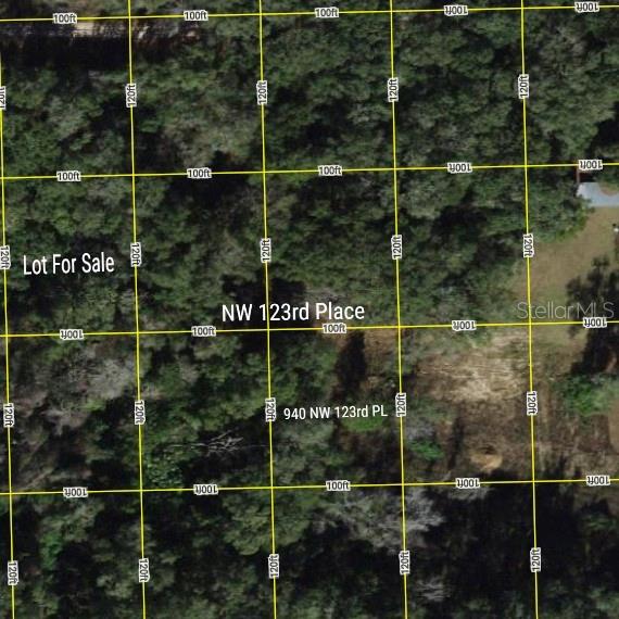 SILVER PALMS ESTATE - Land