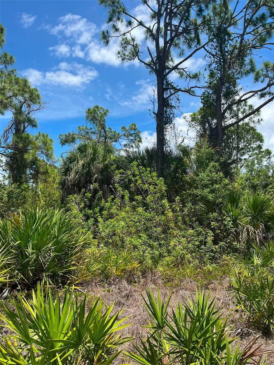 PORT CHARLOTTE SEC 093 - Land