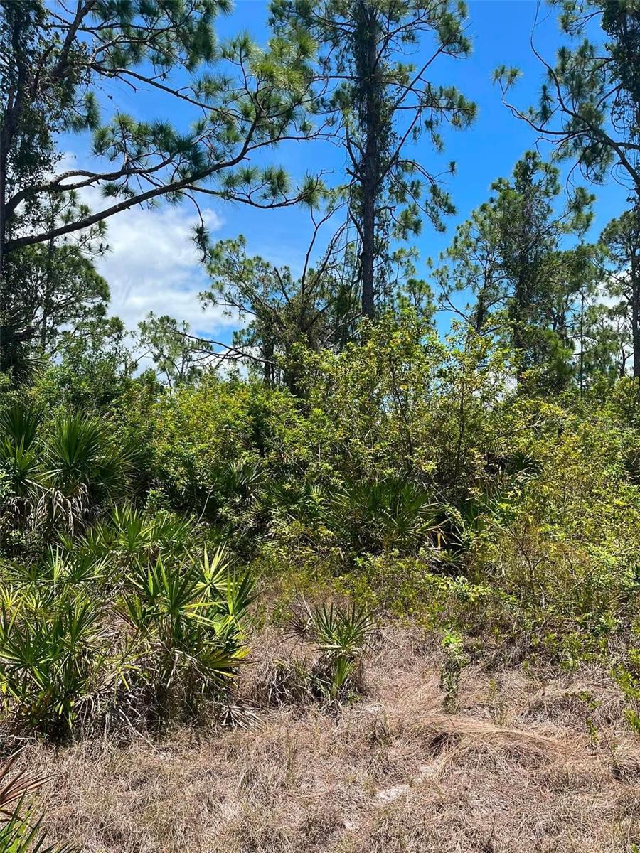 PORT CHARLOTTE SEC 093 - Land