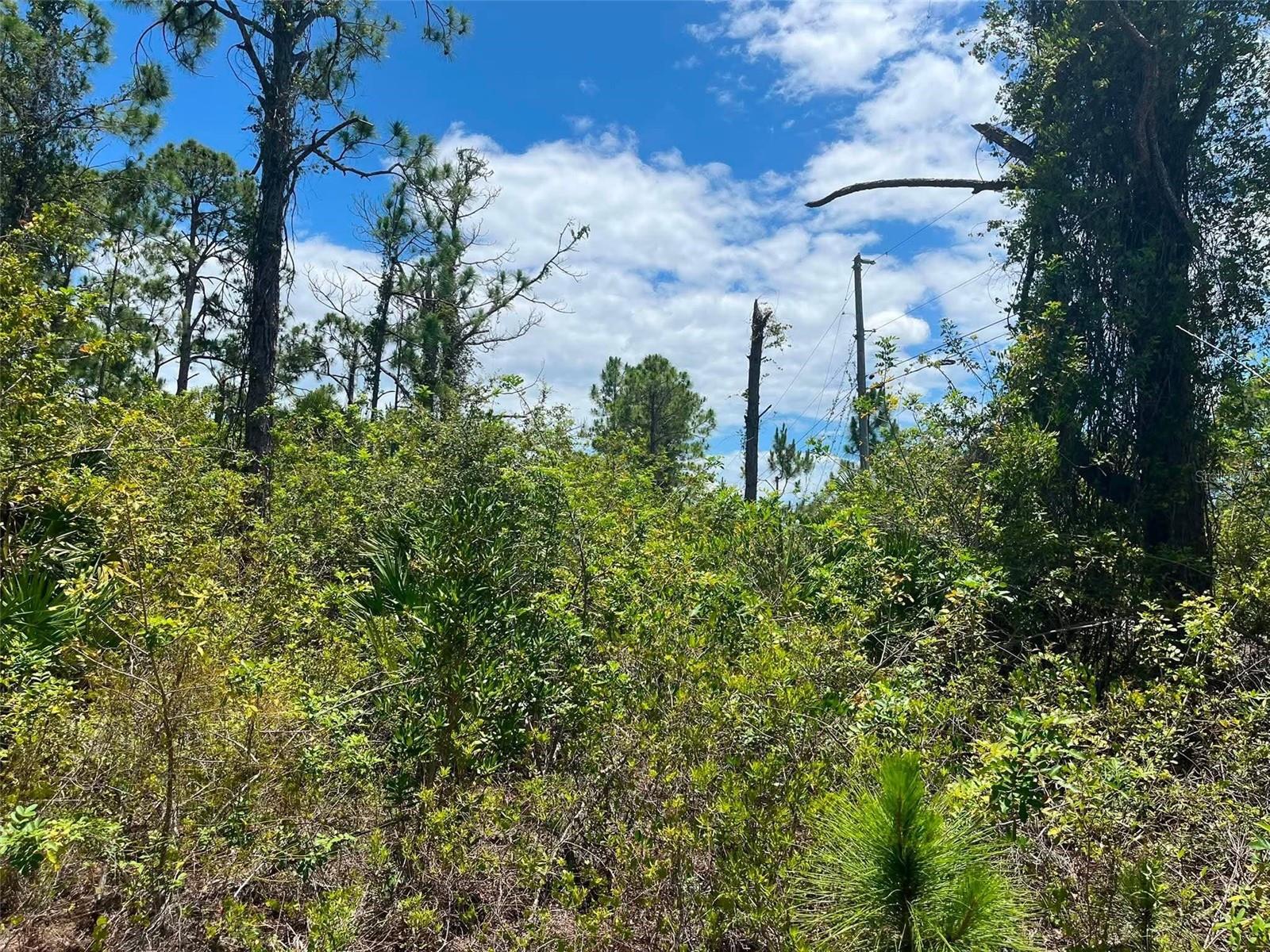 PORT CHARLOTTE SEC 093 - Land