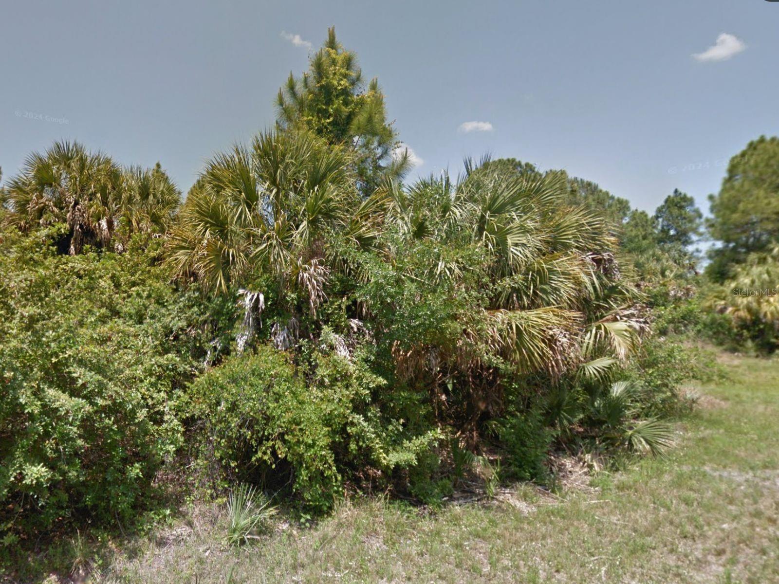 PORT CHARLOTTE SUB 25 - Land