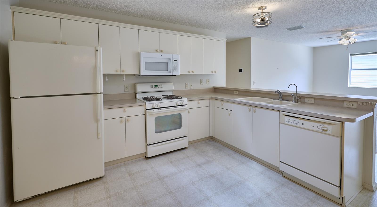 VILLAGES OF SUMTER RAINEY VILLAS - Residential