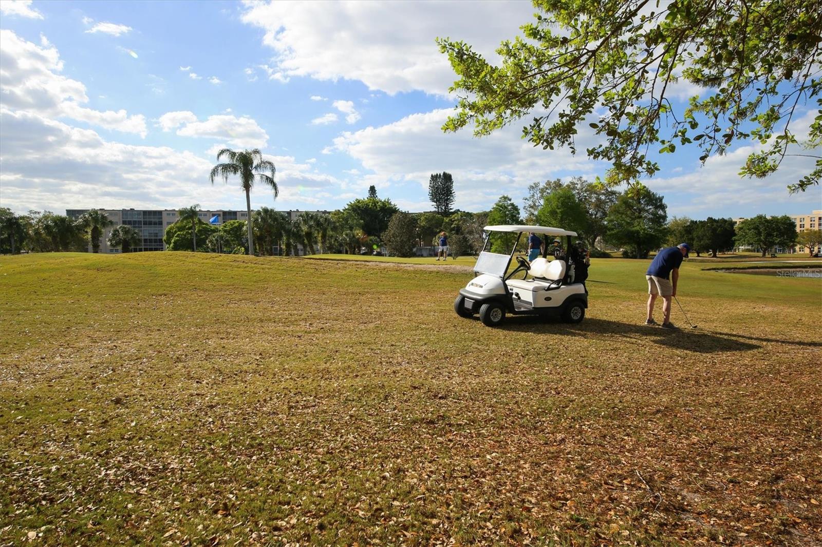 THE GREENS AT PINEBROOK PH 1&2 - Residential
