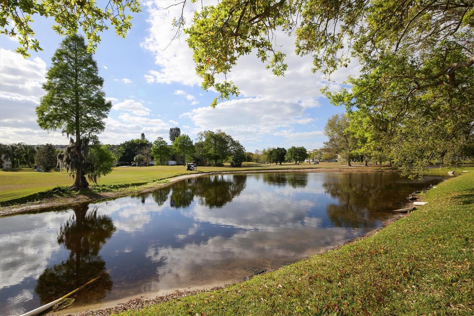 THE GREENS AT PINEBROOK PH 1&2 - Residential