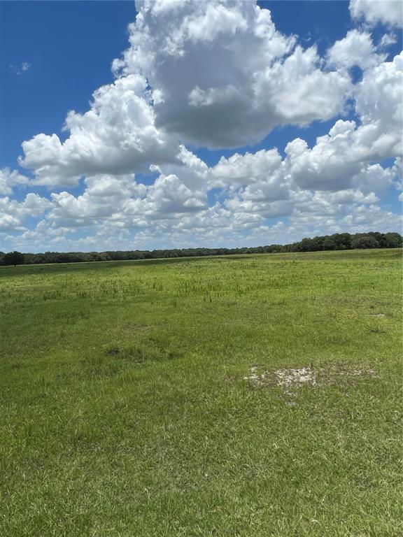 LOOKING for a cattle ranch to raise your beef on 515 acres and 2744 ft of road frontage. The Ranch has plenty of grass for your animals. This property has two Manufactured homes. You have plenty of room to build a home or two if you wish.   This is property for you to have dreams come true, make a great horse farm and many other animals you love. Your zoning is Agriculture, and it is getting hard to find these days.