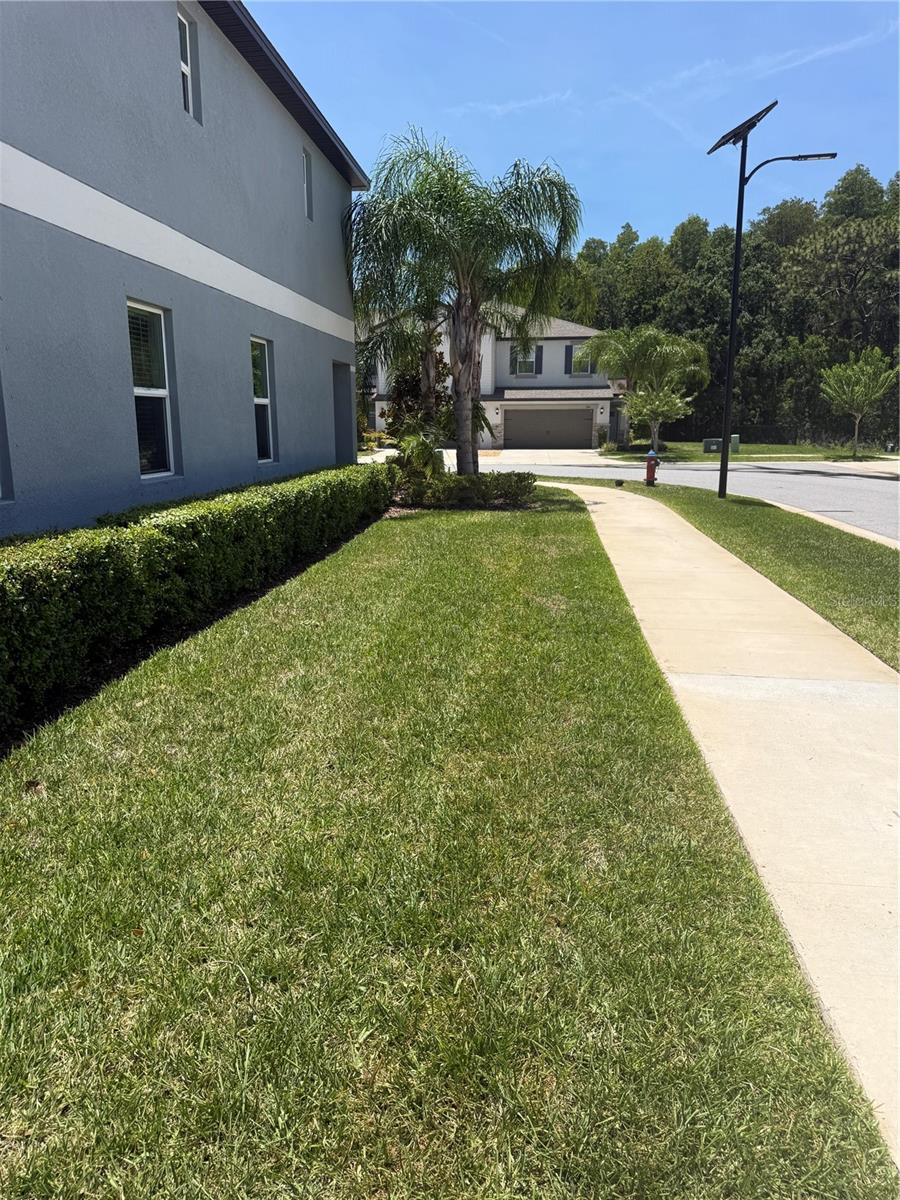 TOWNES/CYPRESS RANCH - Residential