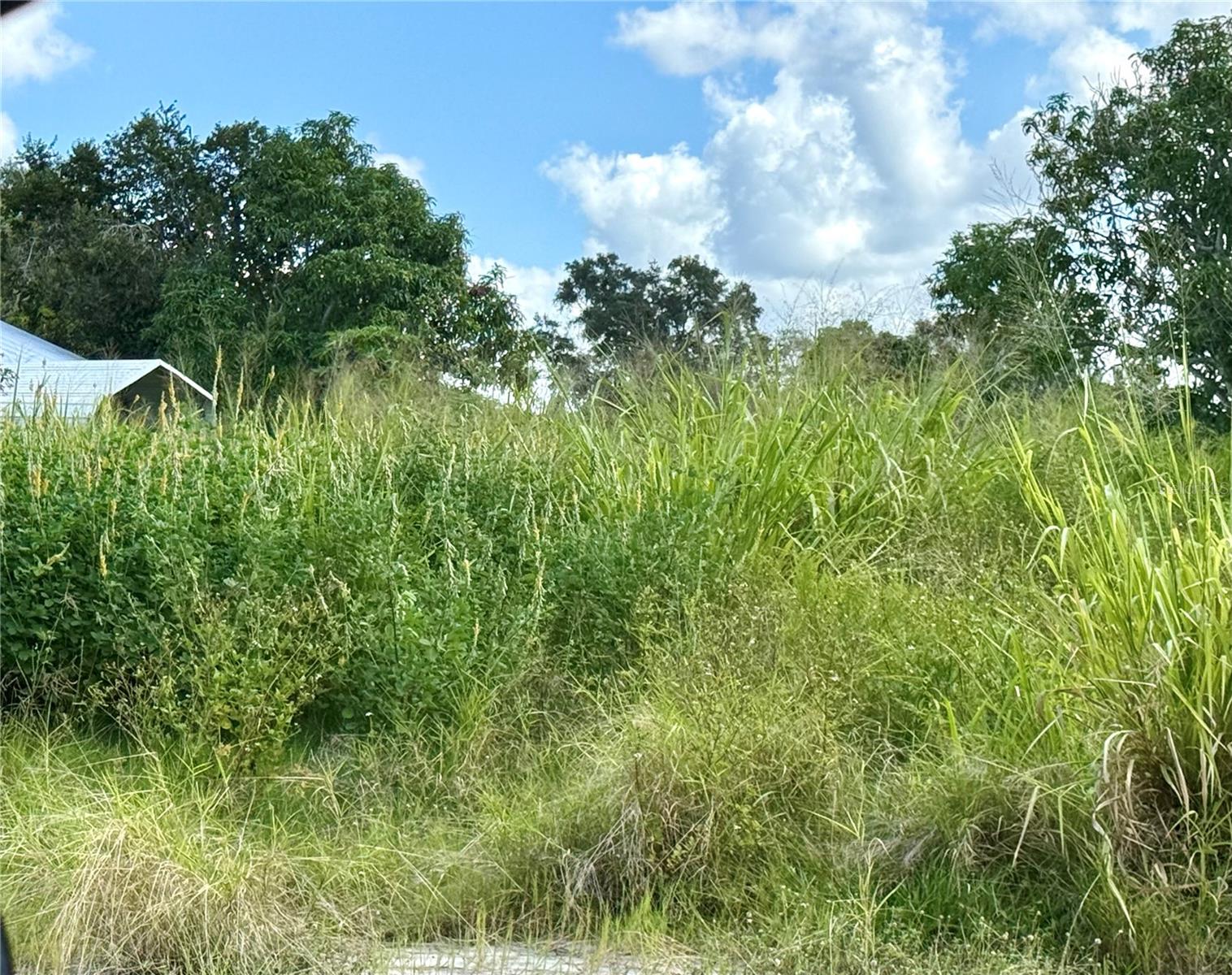 Spacious Vacant Lot – Ready to Build!
This impressive 60' x 187' (.26-acre) lot offers endless possibilities with no deed restrictions — bring your boat, RV, or custom home plans! The property is zoned RSF2, allowing for single-family residential use. The previous home has been removed. The lot has been improved with 15 truckloads of fill, providing a solid foundation for your future build.

Located in a growing area with shopping, restaurants, and everyday conveniences nearby, plus easy access to I-75 for a smooth commute. Whether you're looking to build your dream home or invest in land with flexibility, this property is a fantastic opportunity.