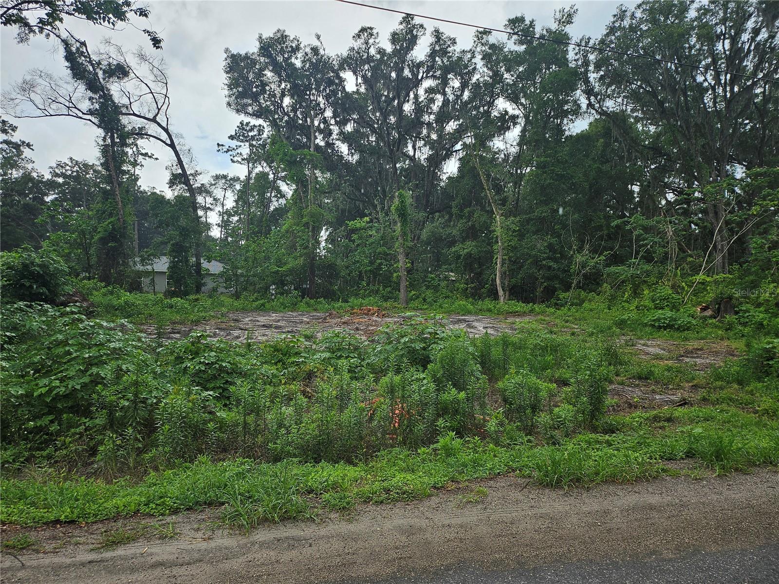OCALA PARK ESTATE - Land