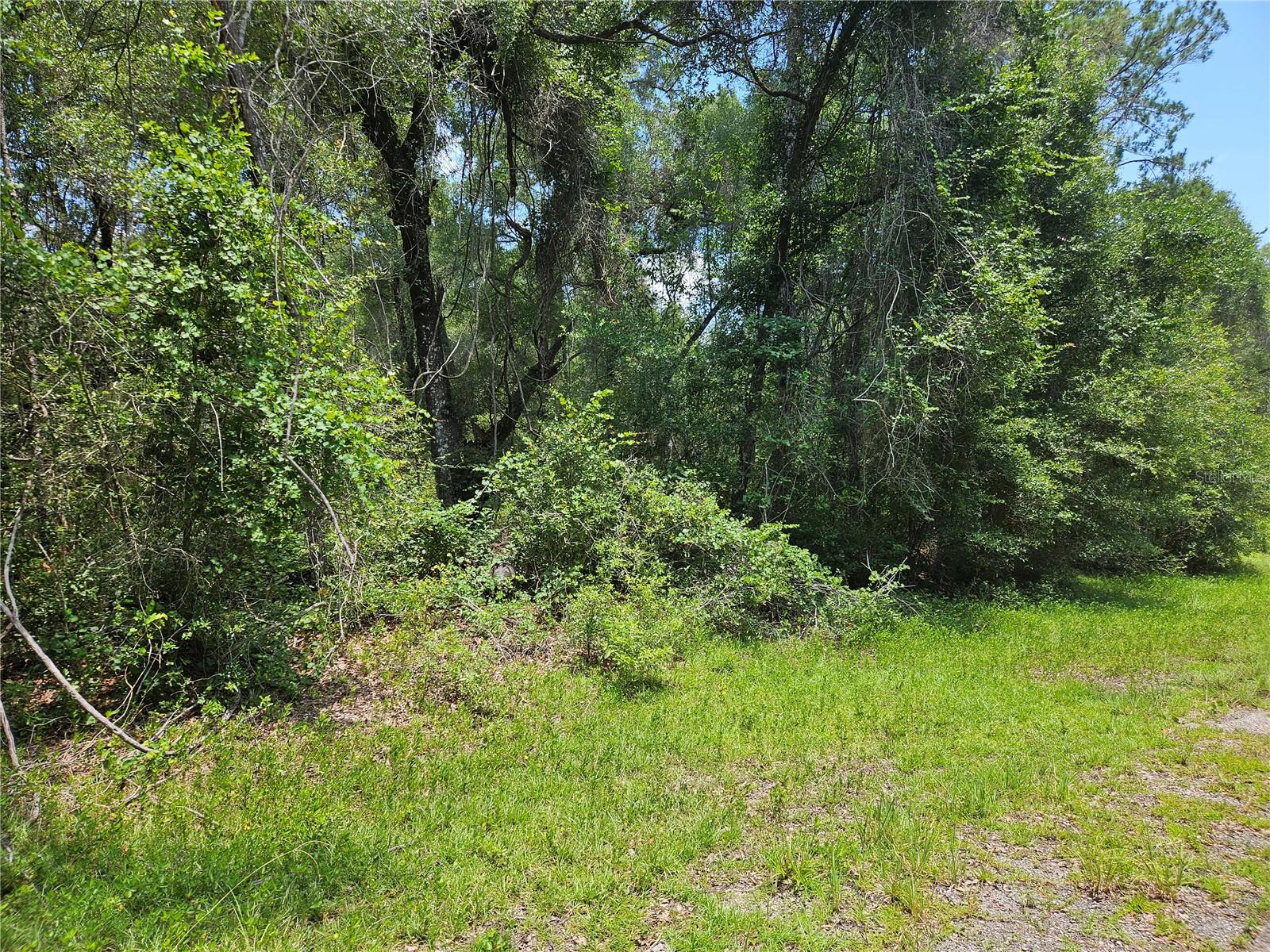 Perfect lot for your new home in this uo and coming subdivision.  Private lot withfew home in area.
