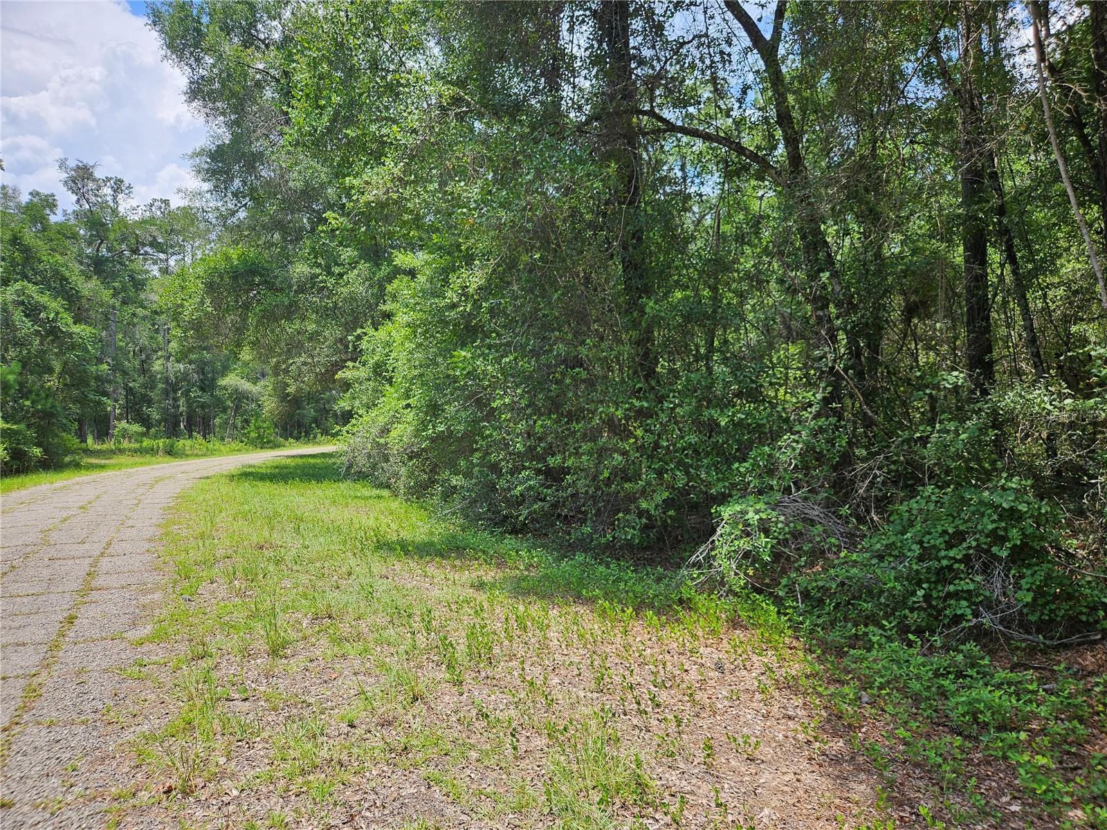 CITRUS SPRINGS UNIT 17 - Land