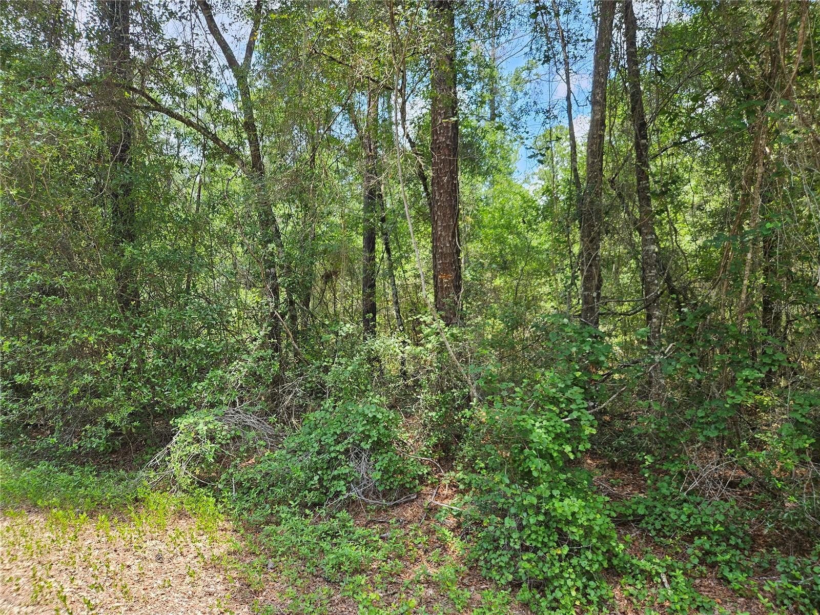 CITRUS SPRINGS UNIT 17 - Land