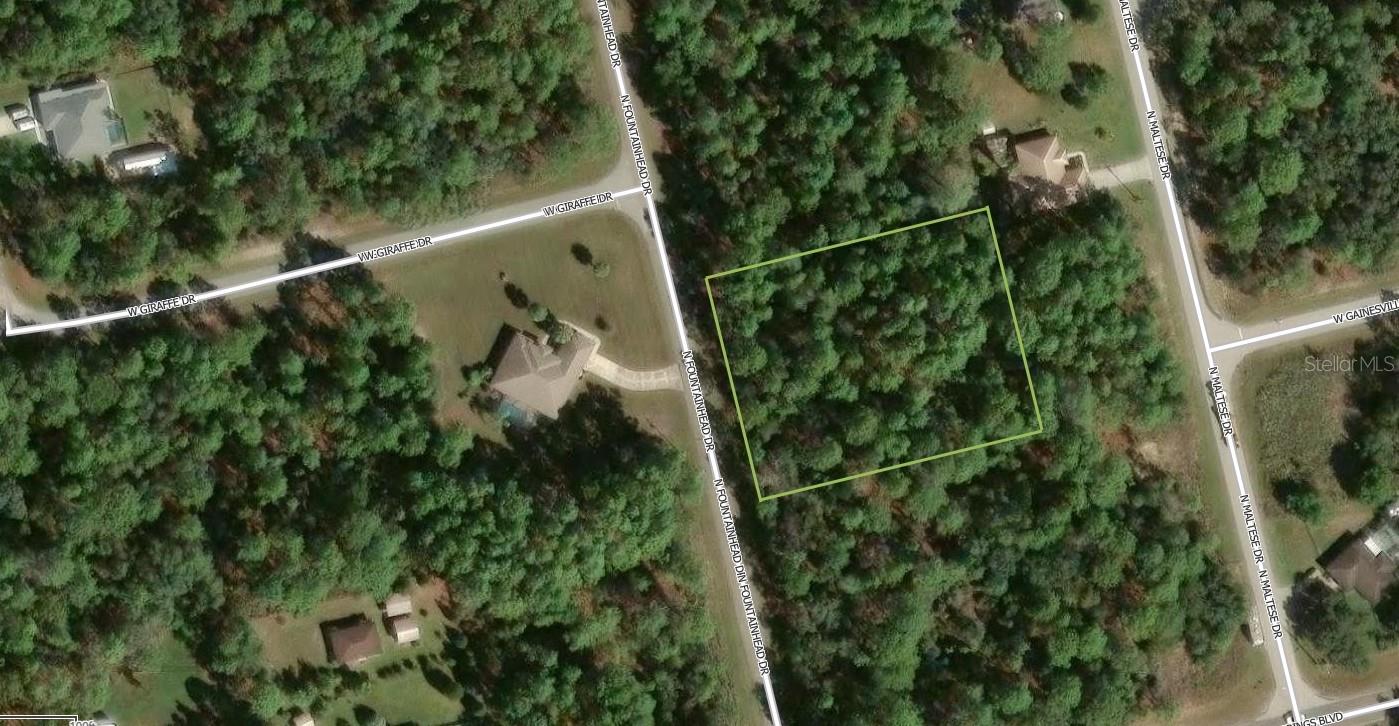 A VACANT LOT IN CITRSU SPRINGS IN CITRUS COUNTY!!!