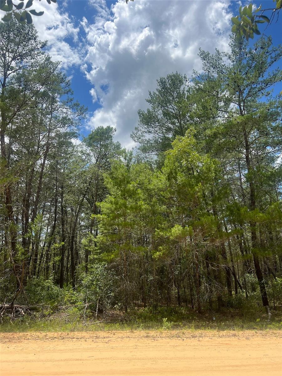 This beautiful, wooded 0.22 acre lot in Interlachen Lake Estates is ready to go! Located on Neilsen Avenue, this property has so much potential! There's no HOA, and this tranquil property is zoned to allow mobile homes, manufactured homes, site-built homes, and more! Lakes, parks, hiking trails and shopping is nearby. Don’t miss this chance to invest in your dreams!