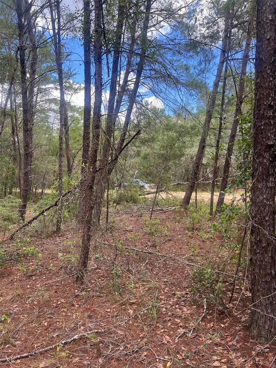 INTERLACHEN LAKES ESTATES - Land