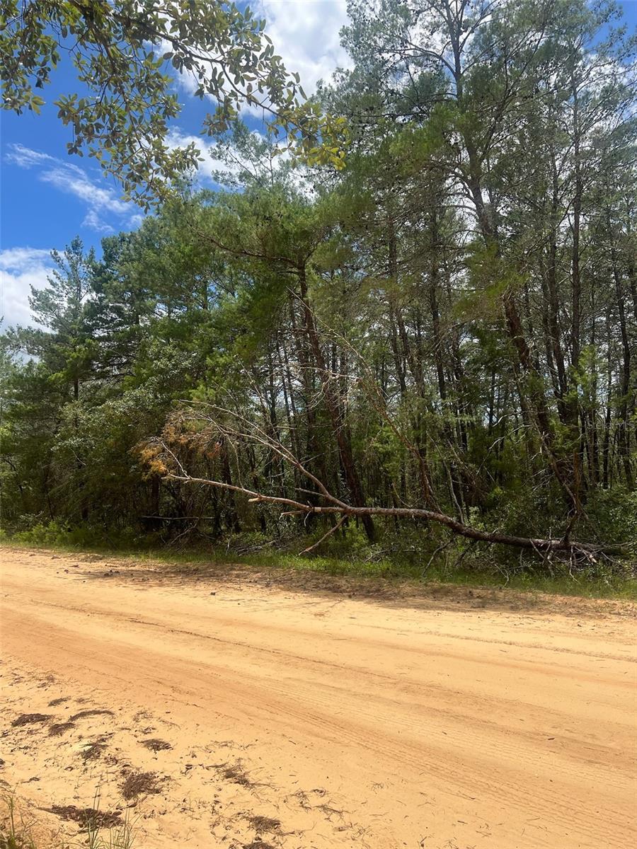 INTERLACHEN LAKES ESTATES - Land