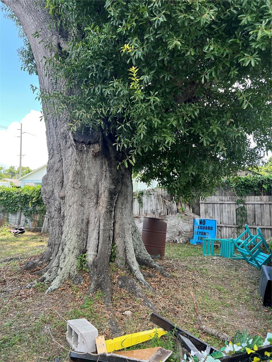 PINE CREST VILLA ADD 6 - Residential