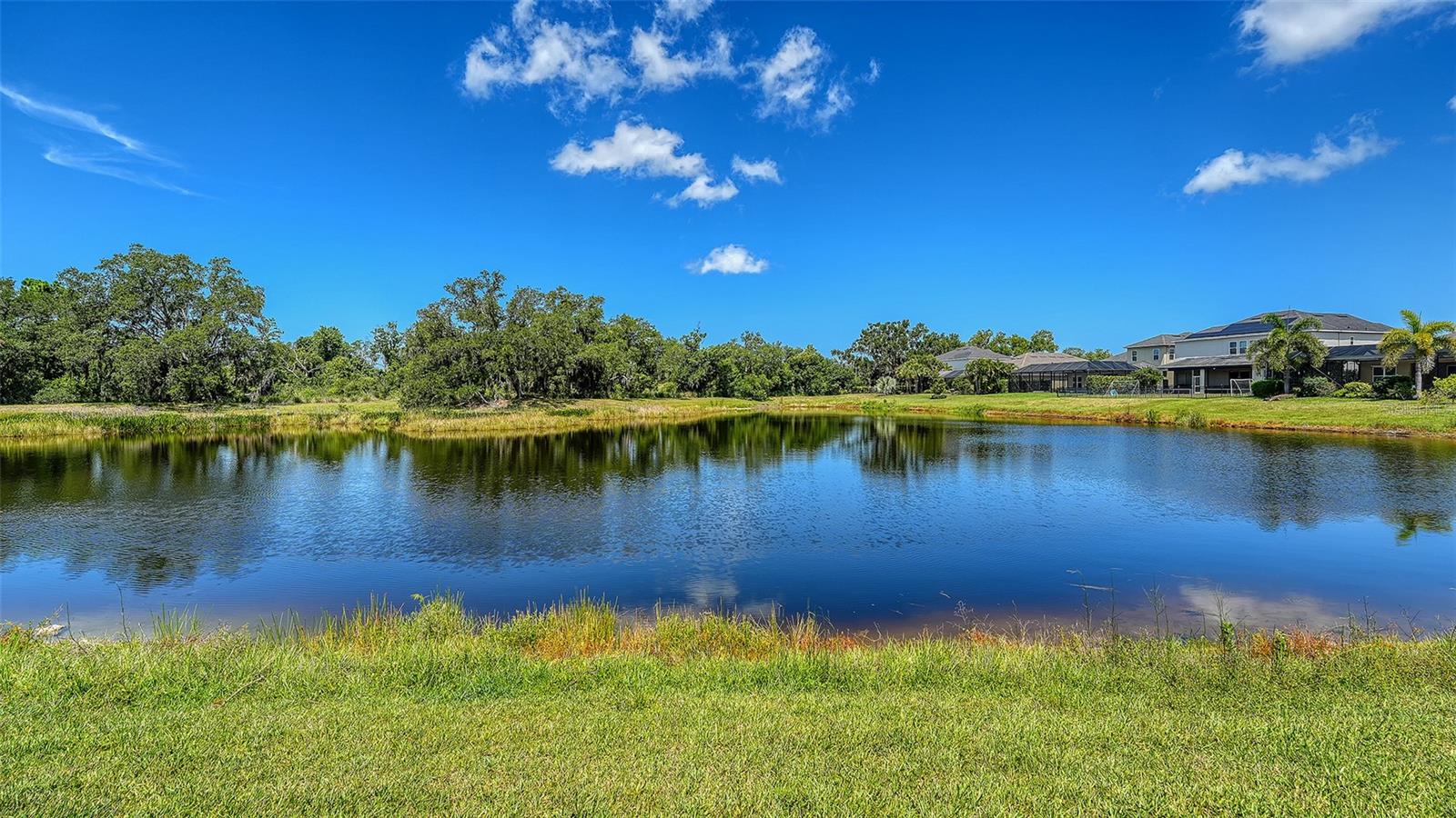 ARBOR LAKES ON PALMER RANCH - Residential