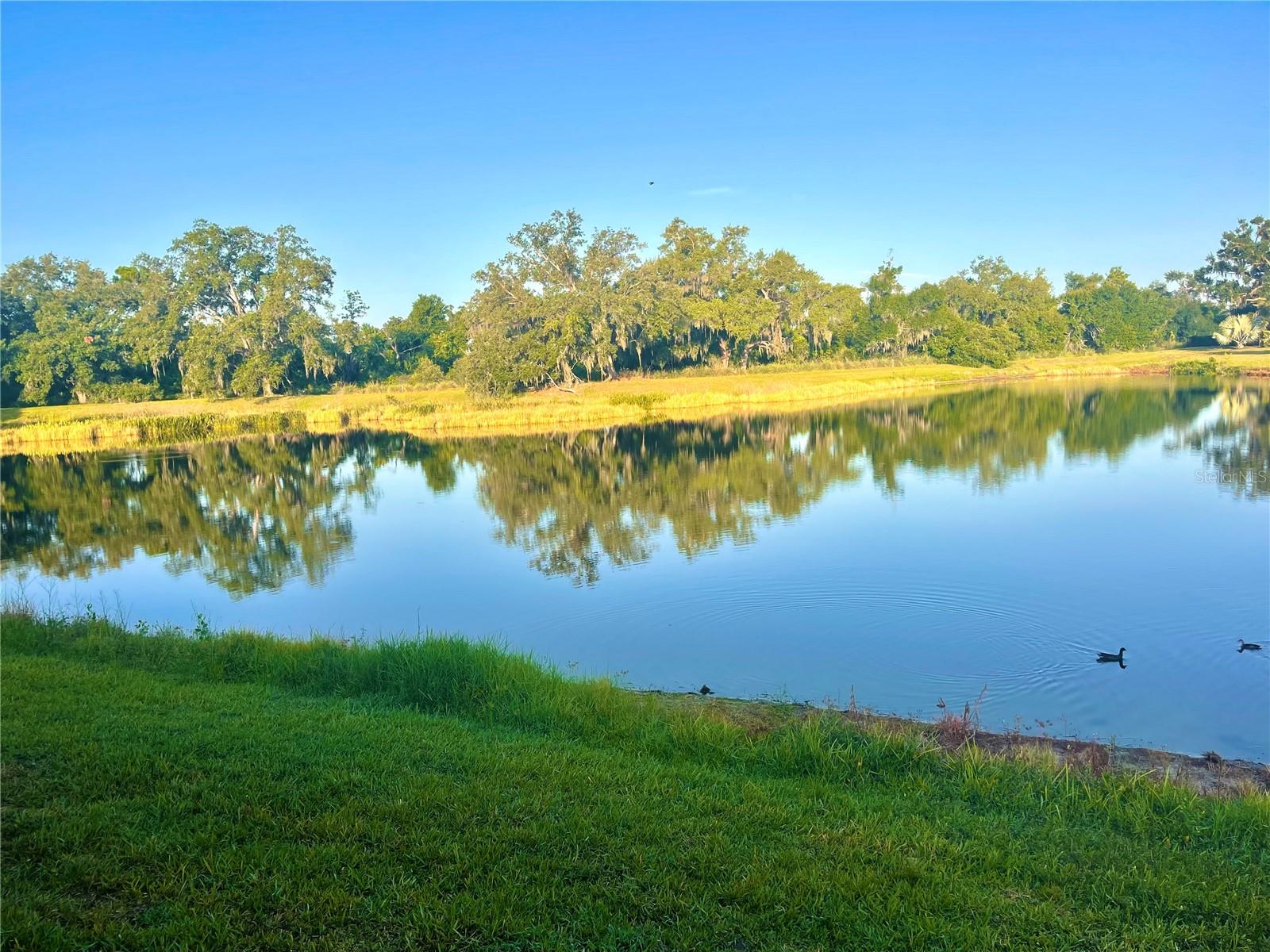 ARBOR LAKES ON PALMER RANCH - Residential
