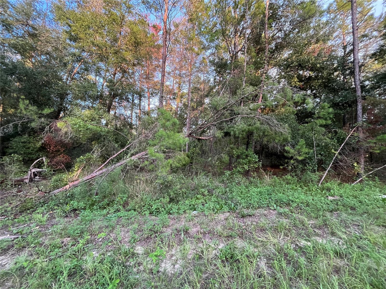 TWIN LAKE ESTATES - Land