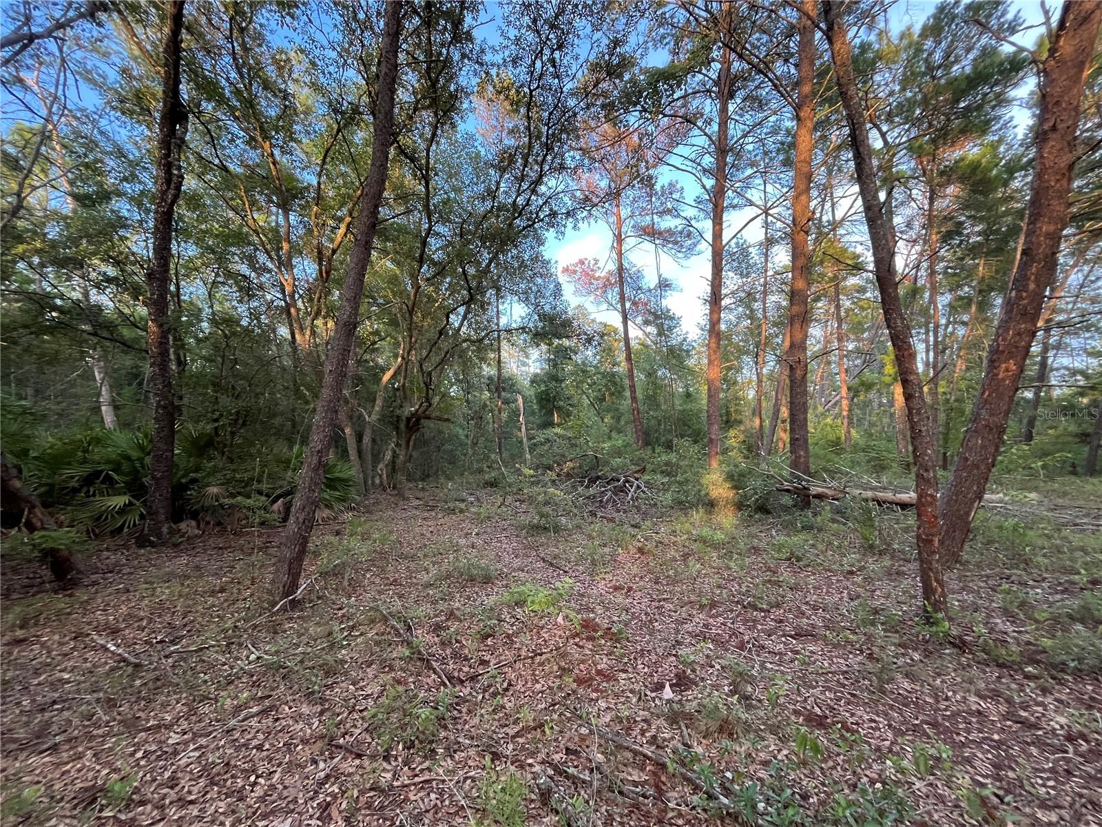 TWIN LAKE ESTATES - Land