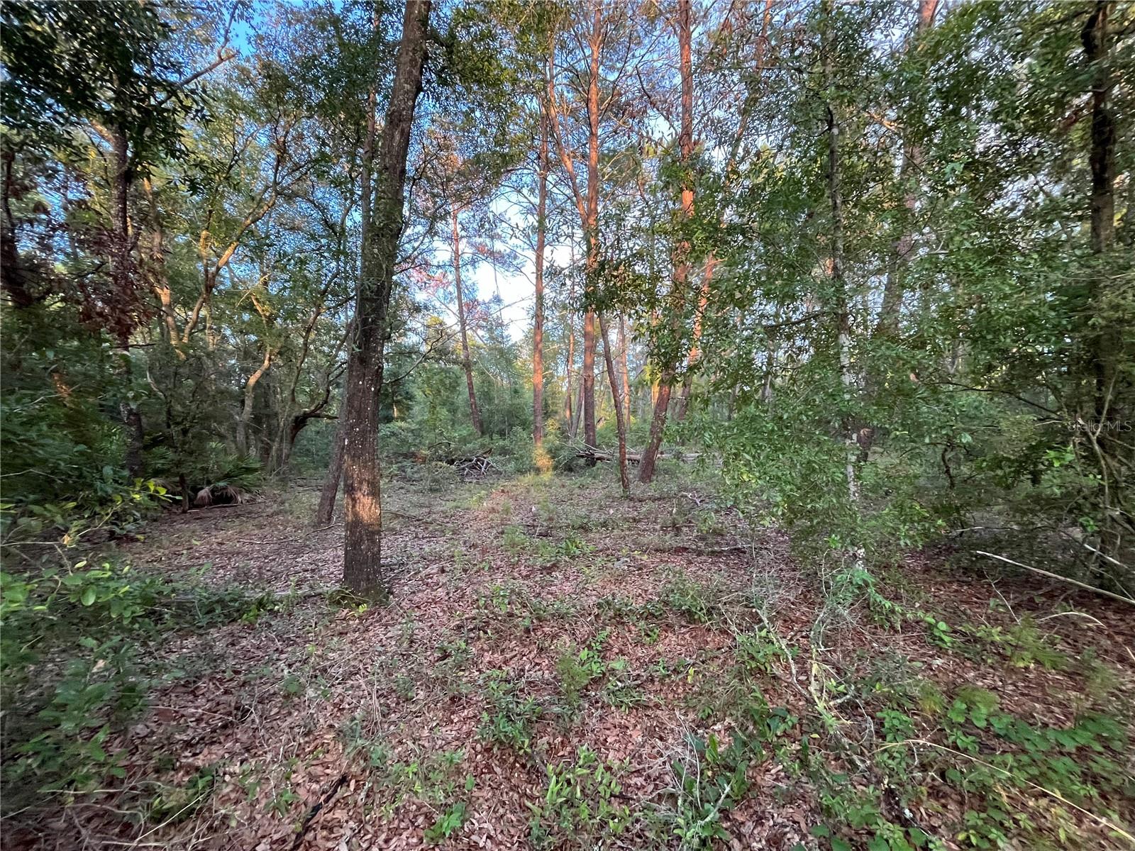 TWIN LAKE ESTATES - Land