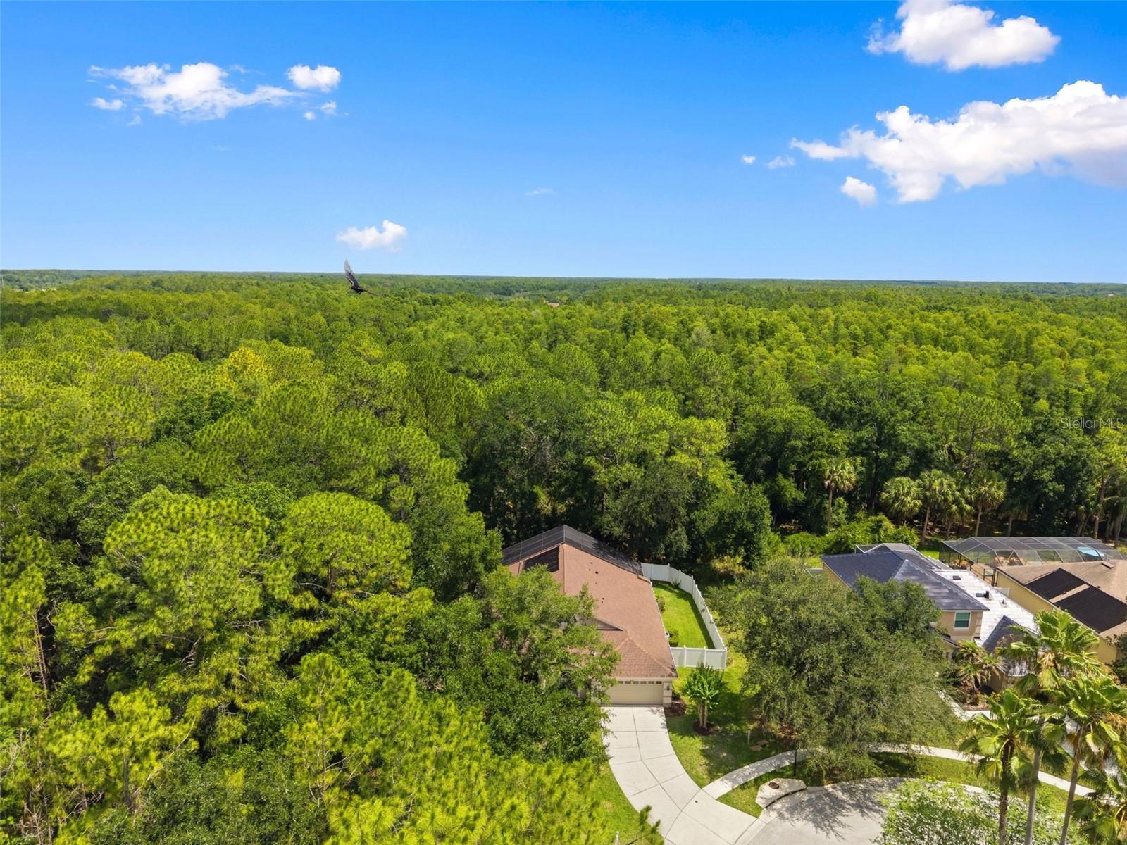 RICHMOND PLACE PH 4 - Residential