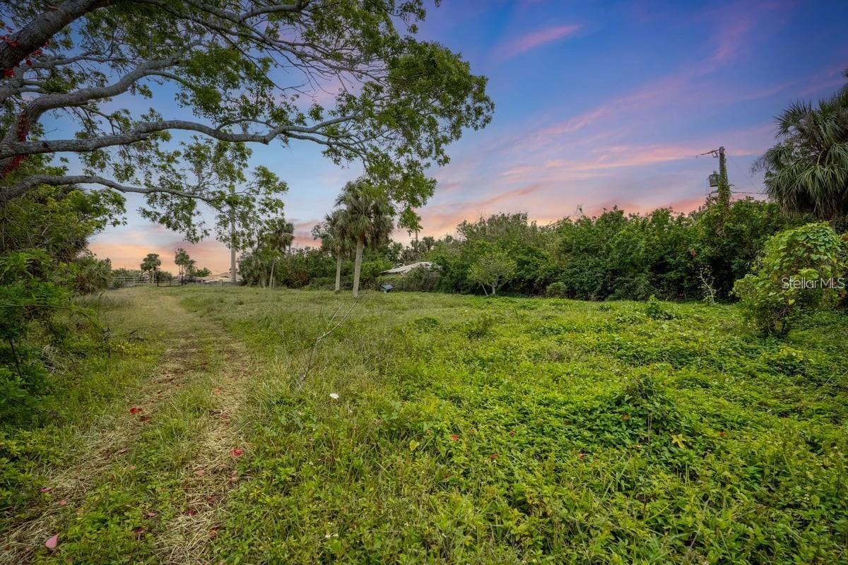 FLORIDA TROPICAL HOMESITES & LITTLE FARMS - Land