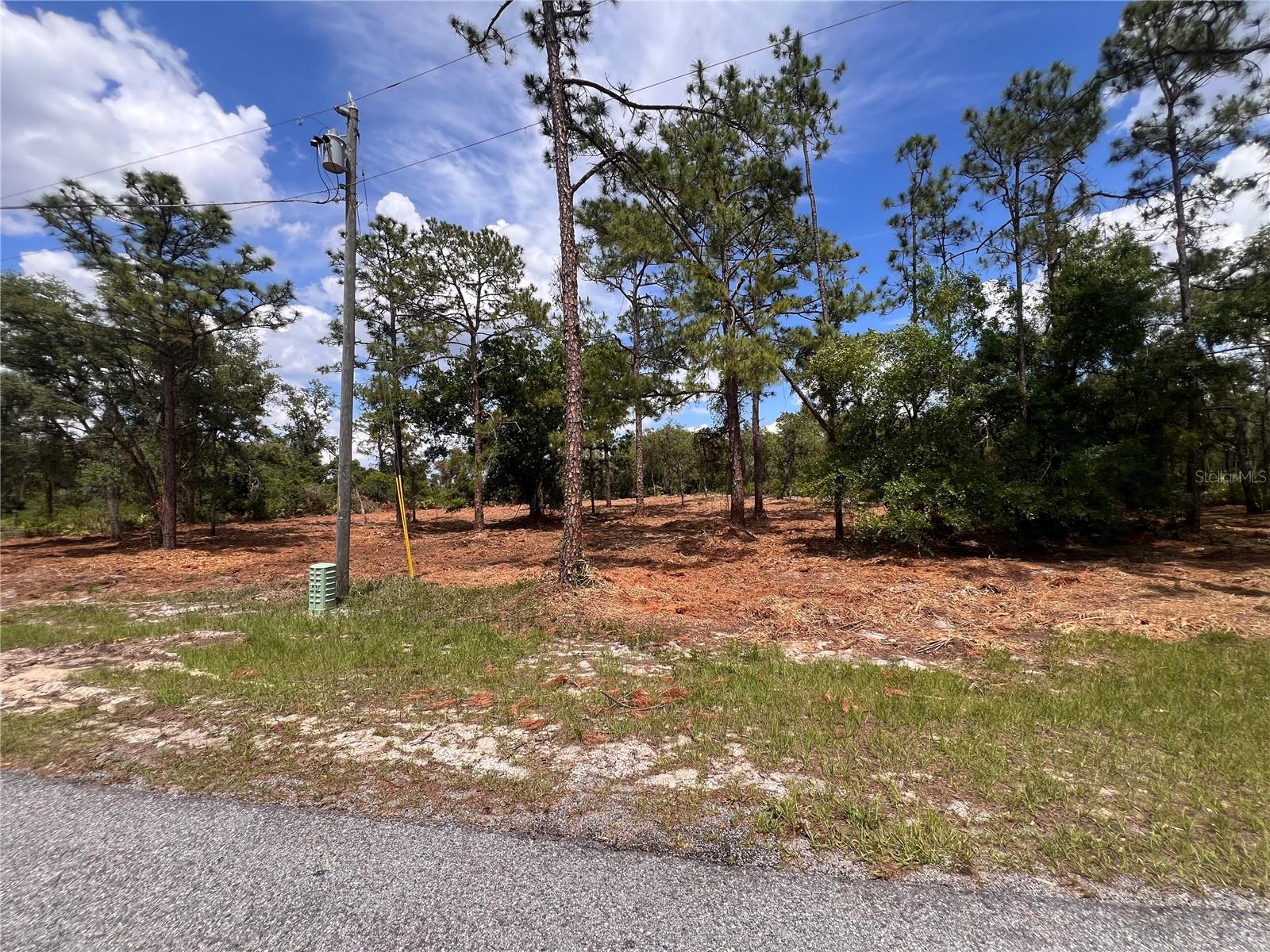 REEDY LAKE ESTATES - Land