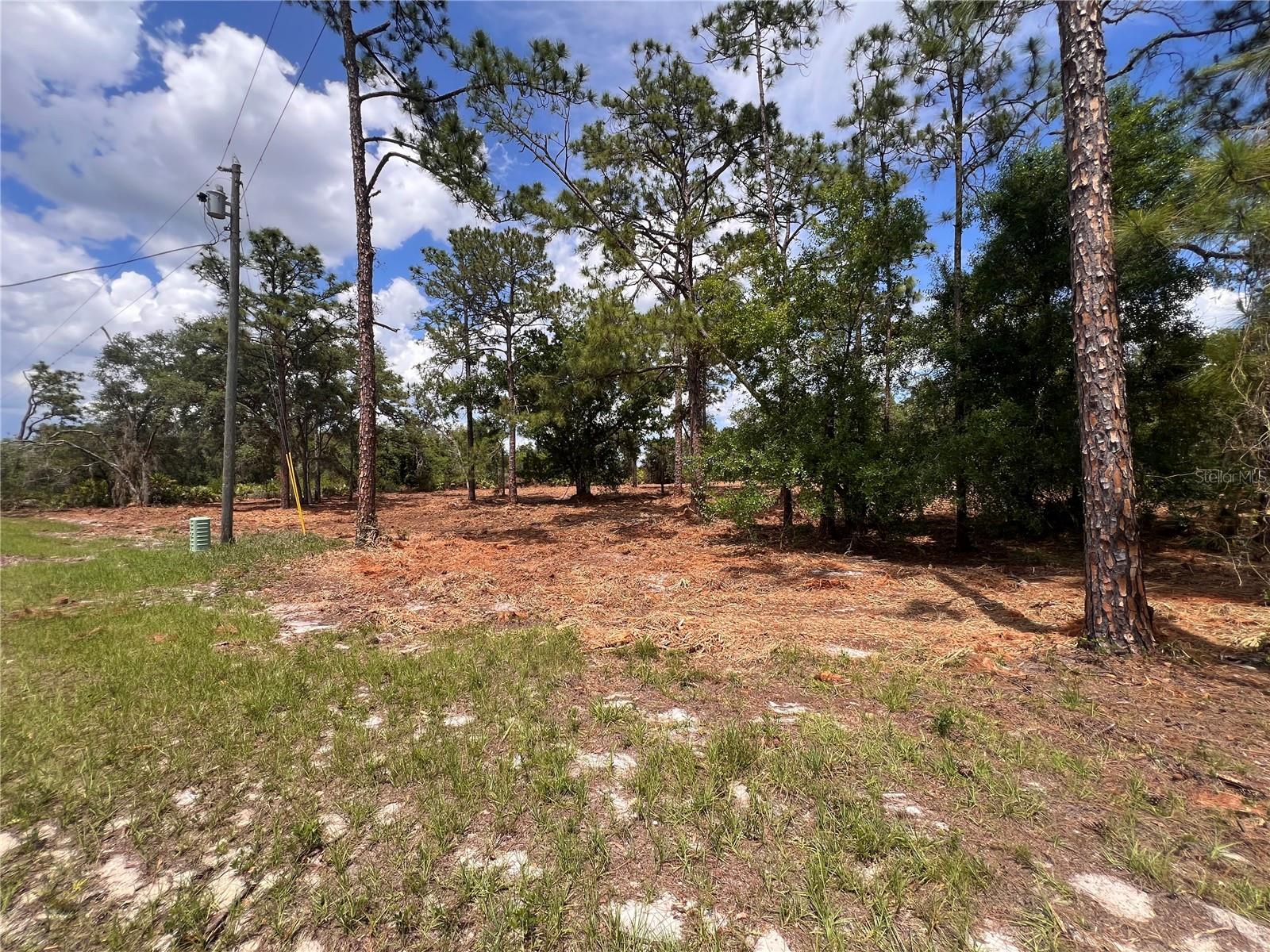 REEDY LAKE ESTATES - Land