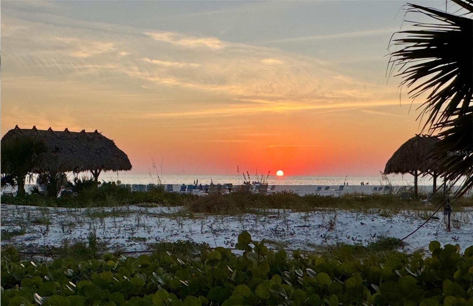 PEPPERTREE BAY III - Residential