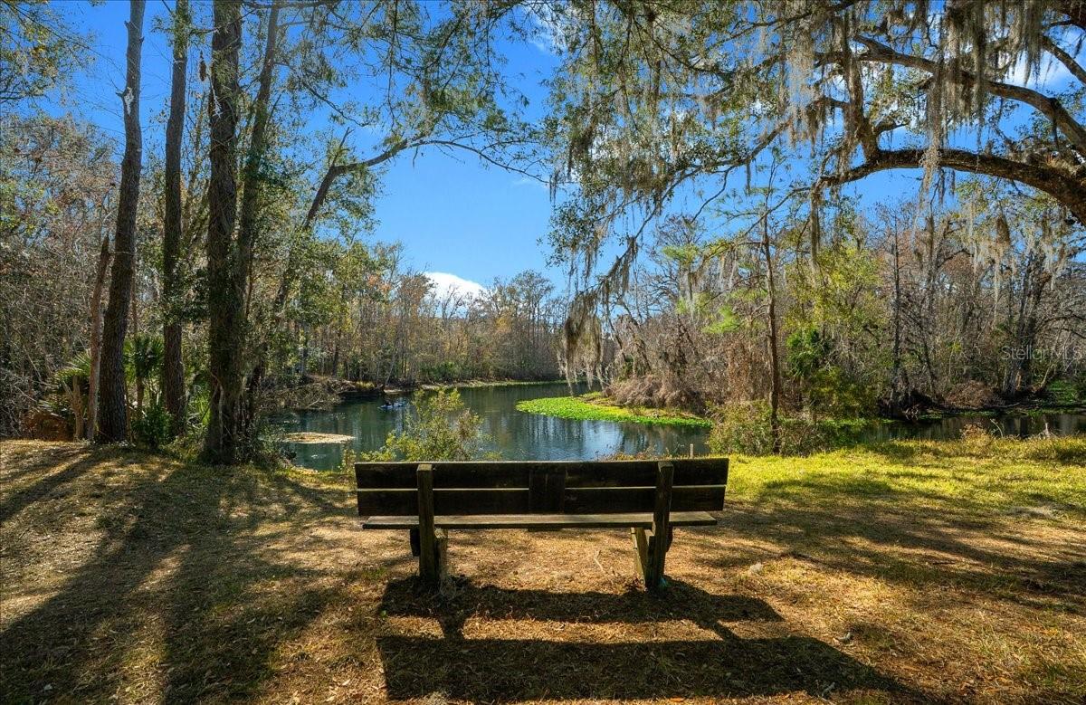 TOWN PARK AT THE WILDERNESS RV PARK ESTATES - Land