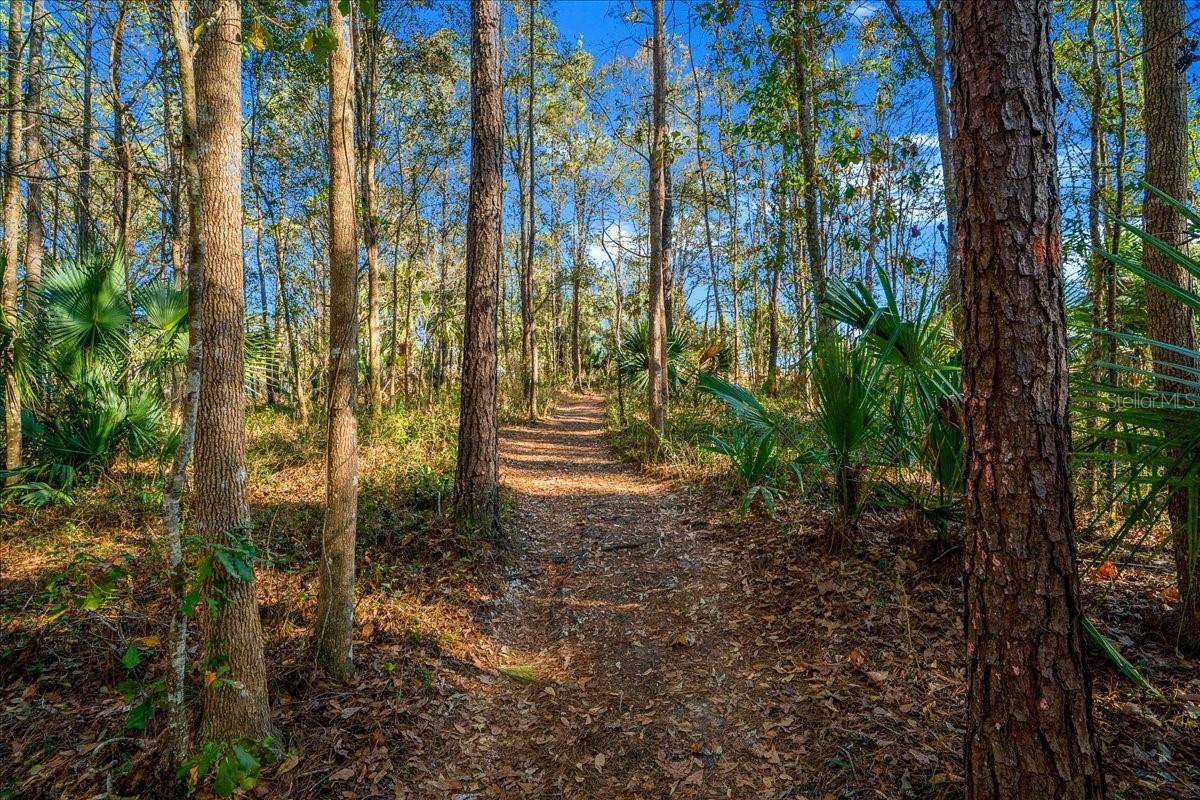 TOWN PARK AT THE WILDERNESS RV PARK ESTATES - Land