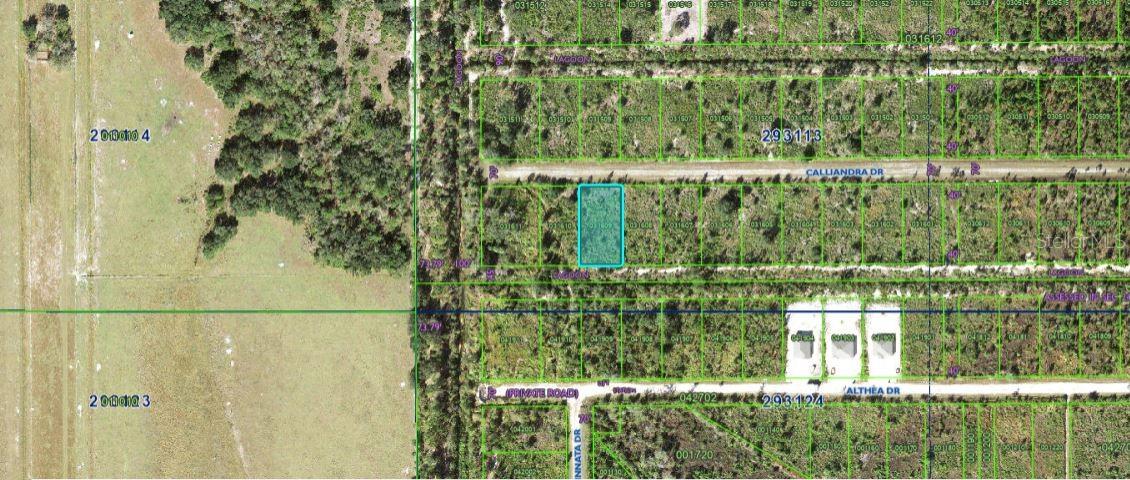 Build your dream construction on this 0.50-acre vacant  lot in CALLIANDRA drive, Florida 33855.  "Zoning: PUD" This half-acre parcel offers plenty of space for a custom  outdoor living in a peaceful setting. A perfect opportunity to enjoy quiet, Florida living with room to create your ideal property.Pin Location: Latitude 27.77787056, Longitude -81.38151411. Note: buyers I emphasize the importance of conducting thorough due diligence to ensure that the property meets your expectations and requirements.