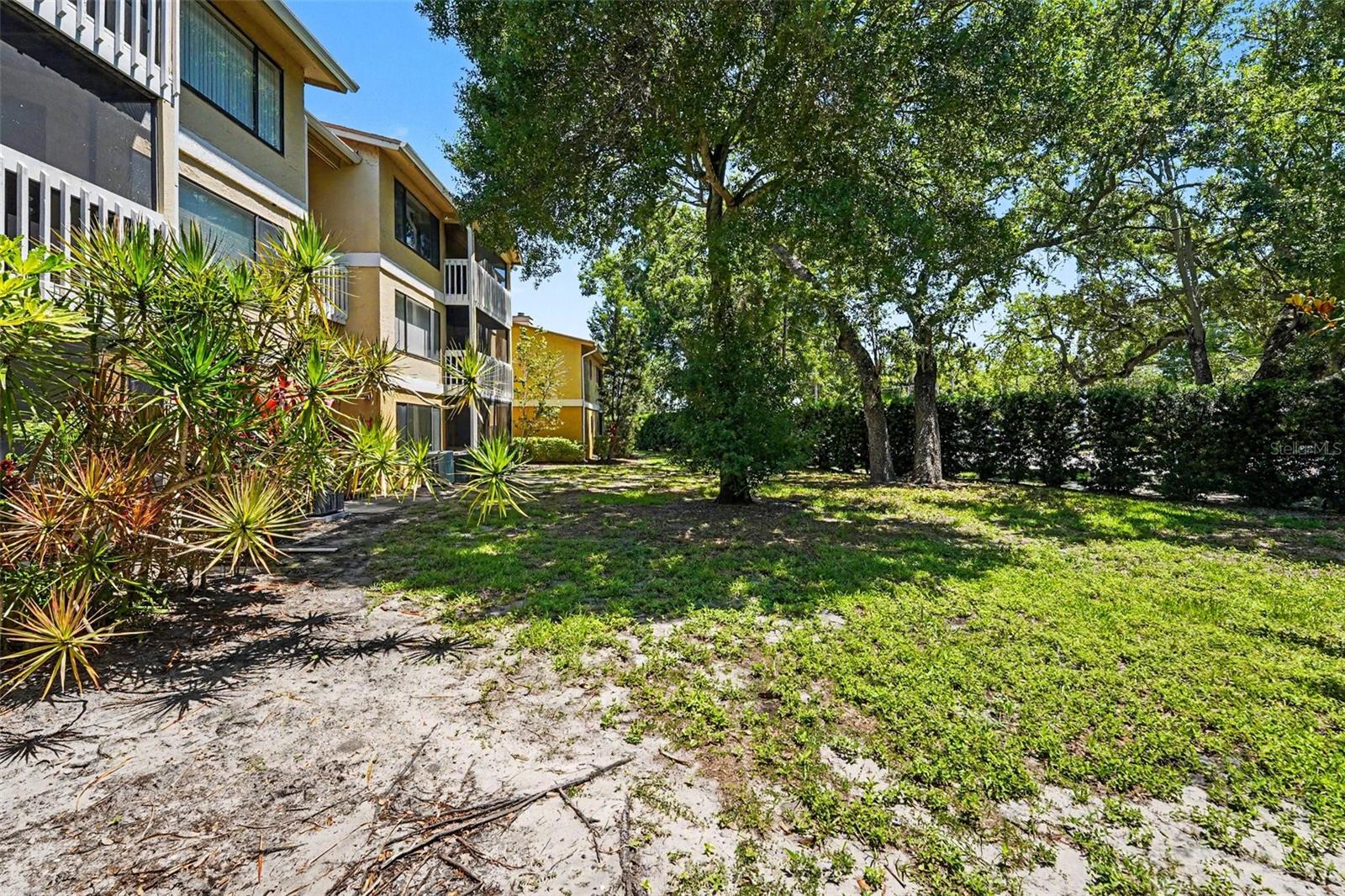 BELLEAIR VILLAGE CONDO - Residential
